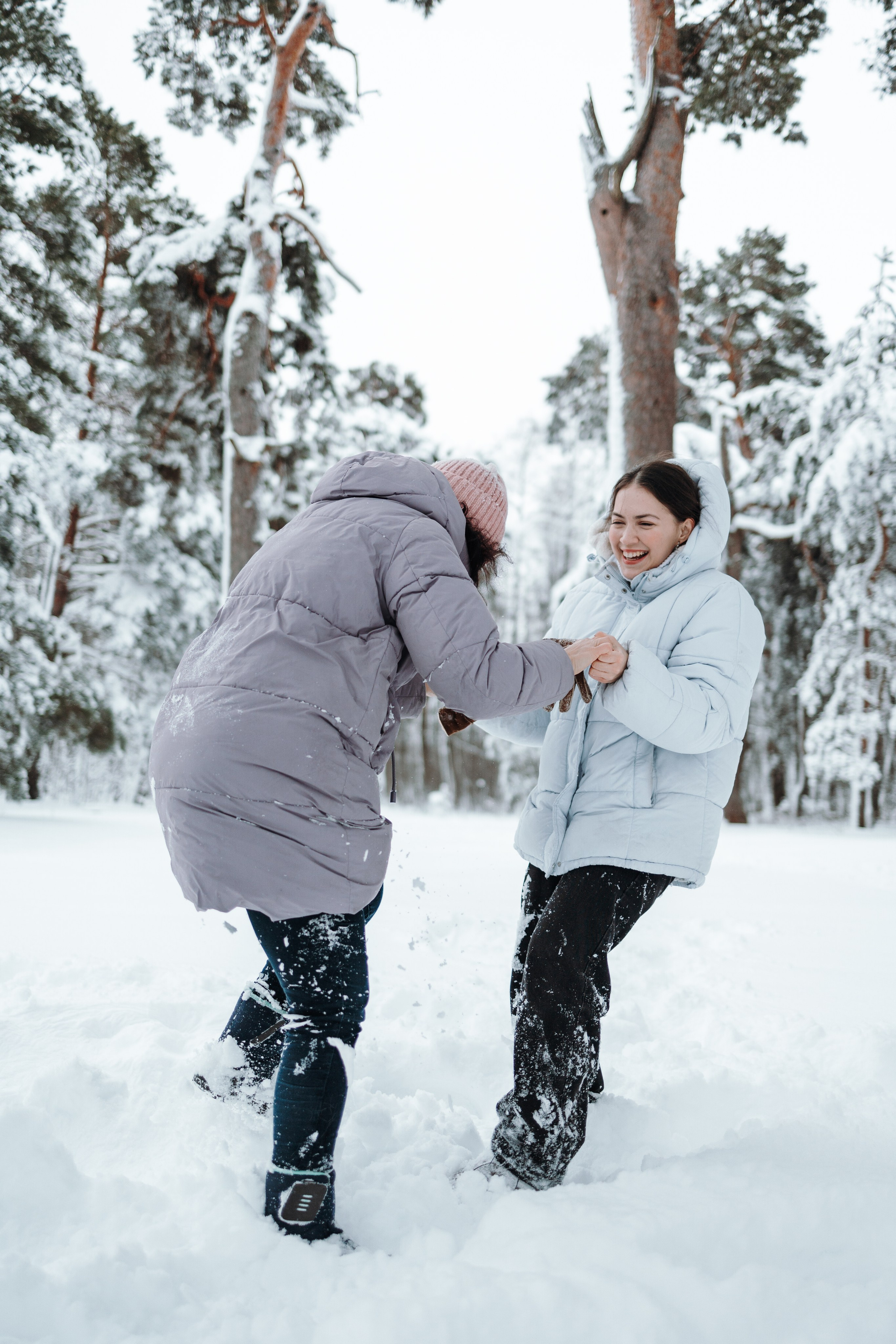 Оливка и ее семья. Фотограф — Анималист | Санкт-Петербург
