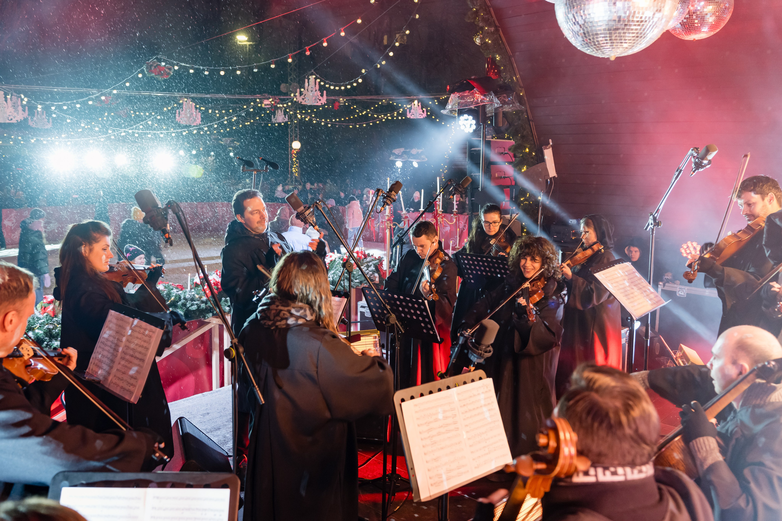 Ледяная симфония. Сад им. Баумана. 04.01.2025