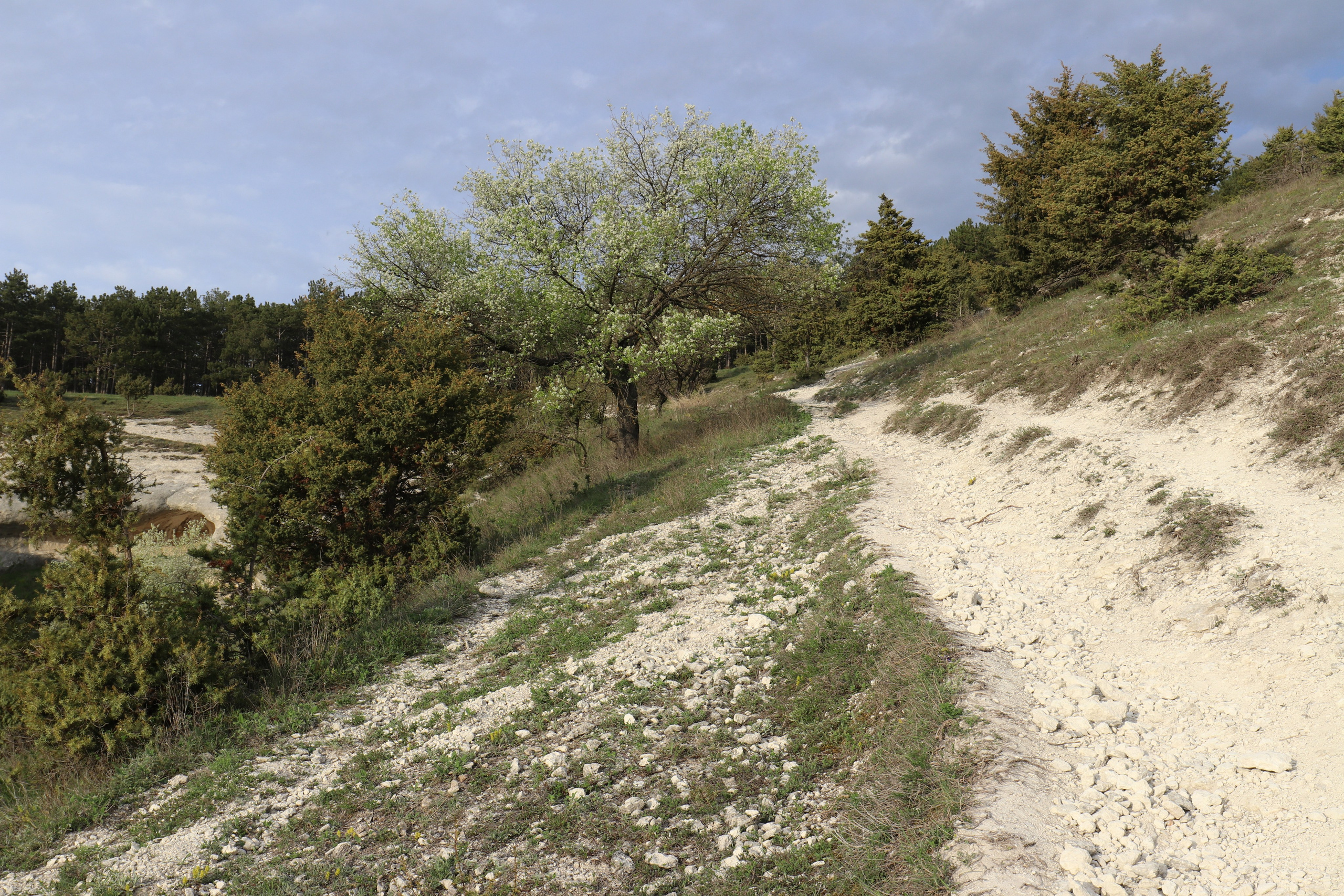 Крым. ЮБК (Бахчисарай, Кастрополь, Таракташская тропа). Май 2021. Путешественник-фотограф из Санкт-Петербурга Татьяна Свистулина