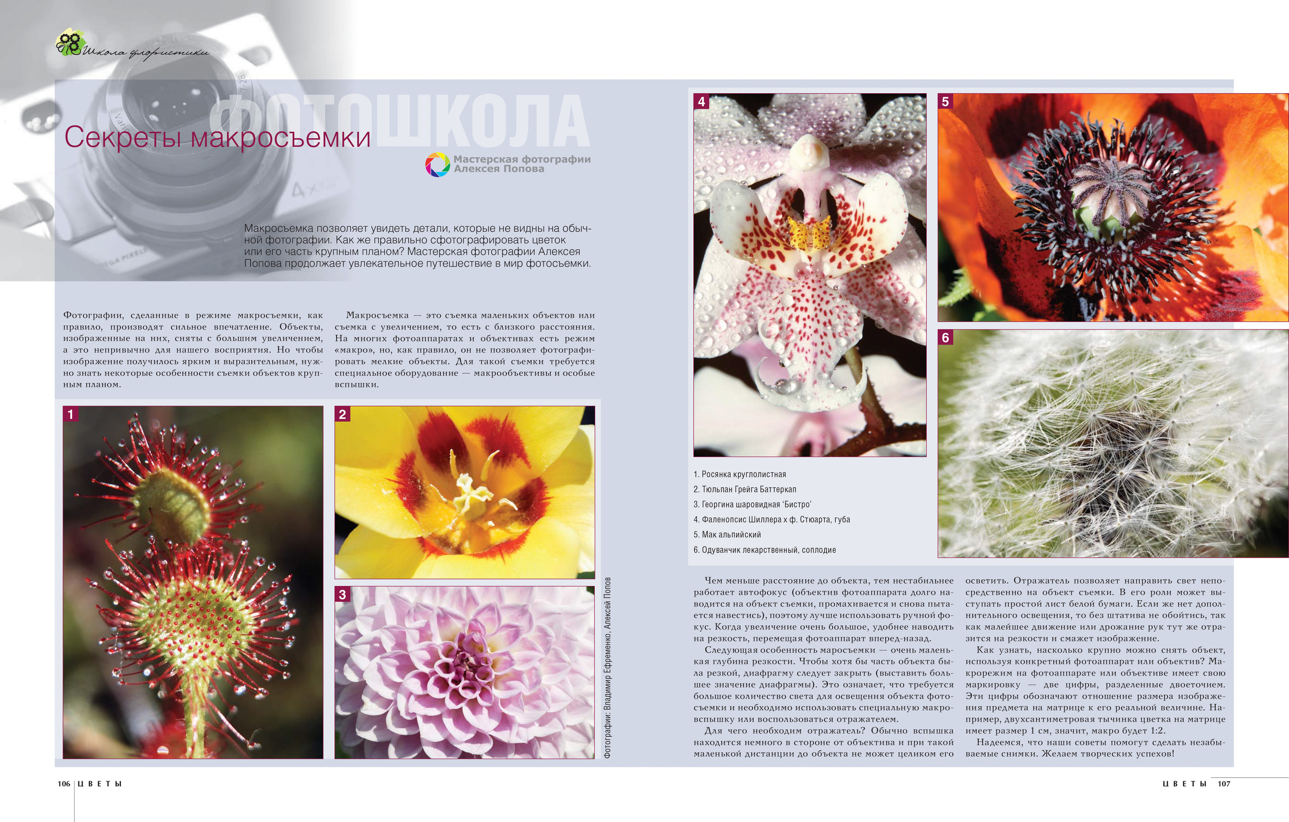 Публикации. Попов.фото — Предметная фотостудия в Новой Москве