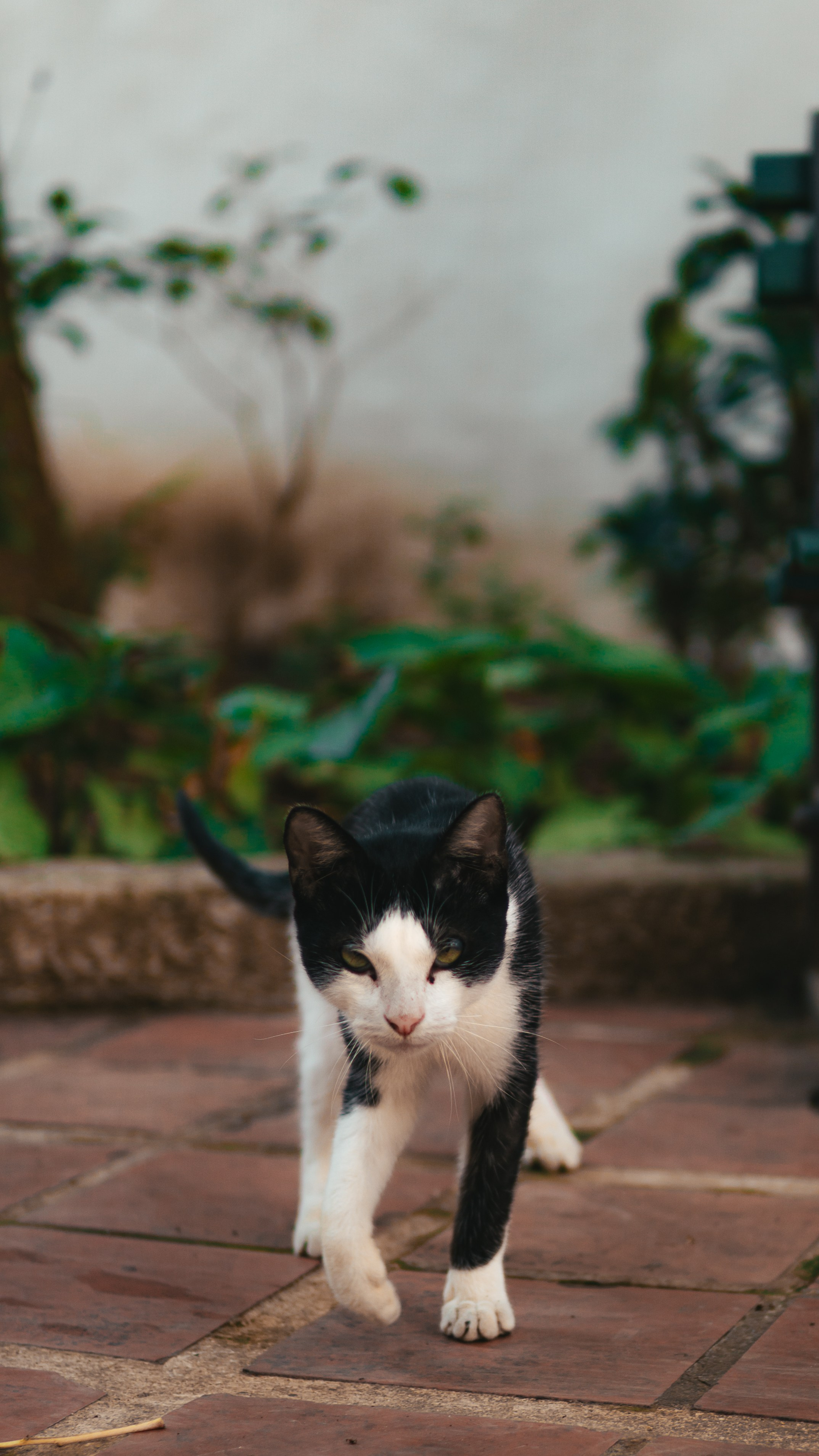 Кубинские истории. Фотограф в Москве Юлия Першина