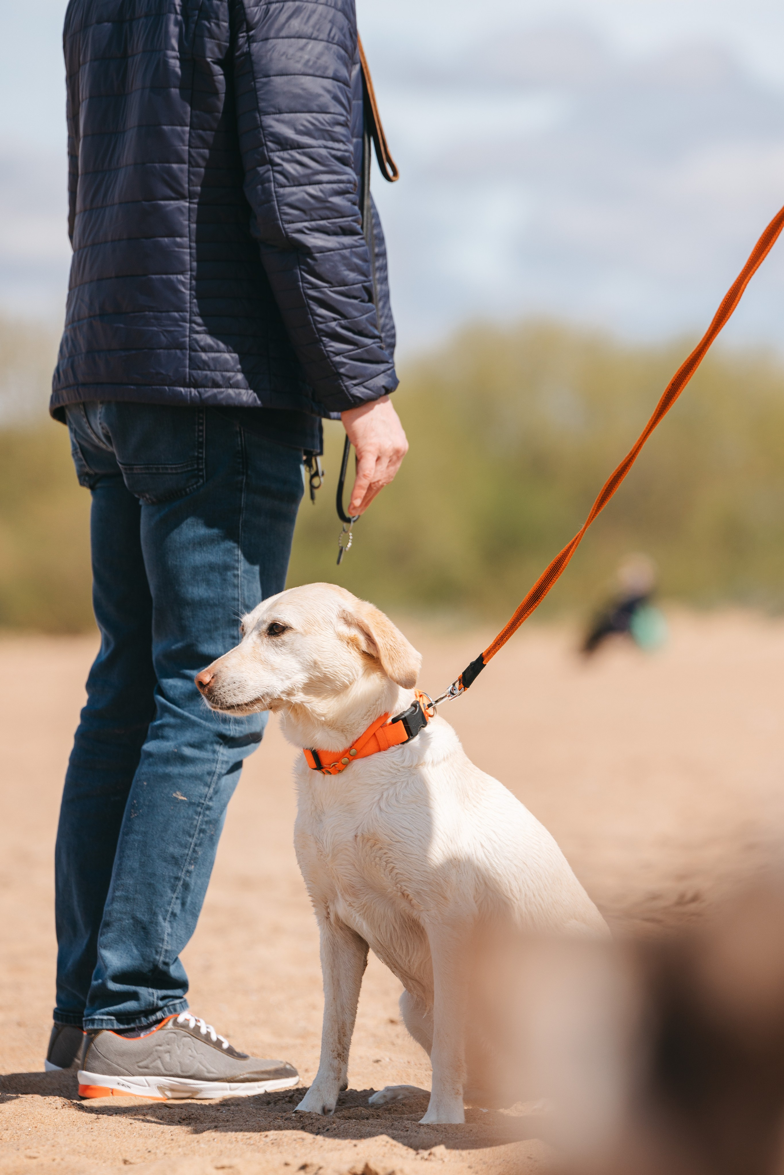Спанимания. Фотограф анималист Осипчикова Мария