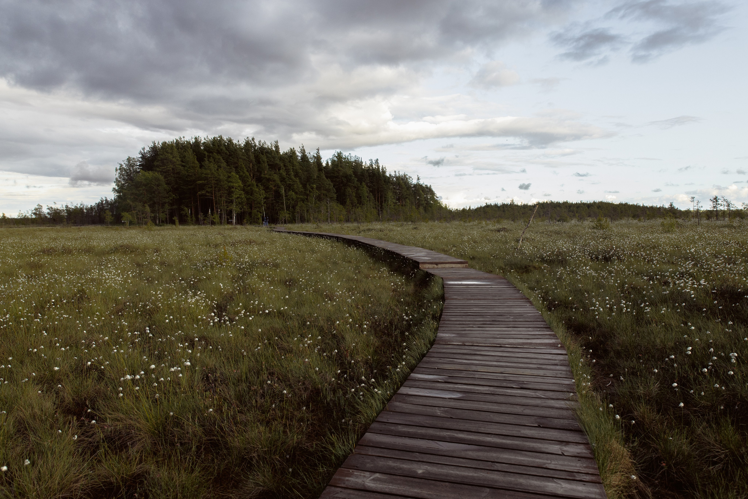 Nature. Артем Корнев Фотограф
