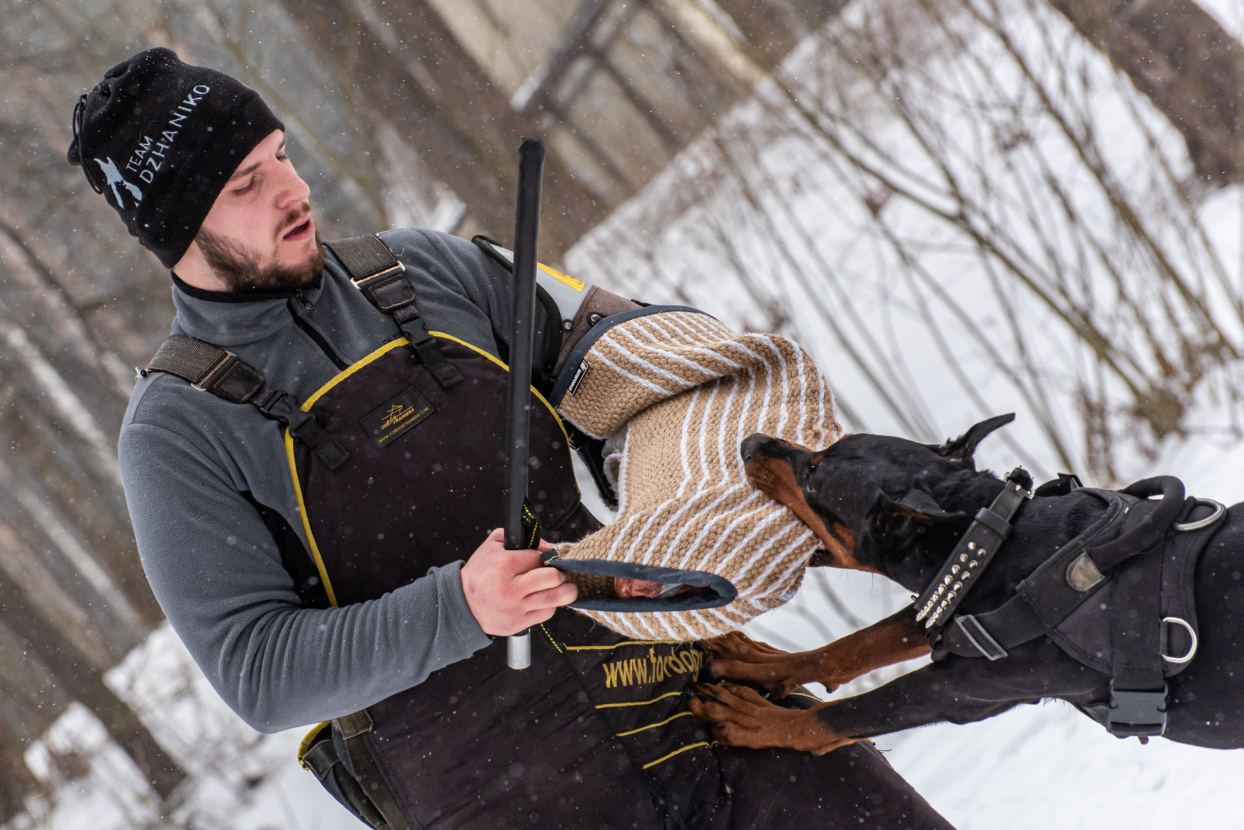 Фотосъёмка с собаками в Кинологическом лагере. Фотограф Макс Огурцов в Нижнем Новгороде