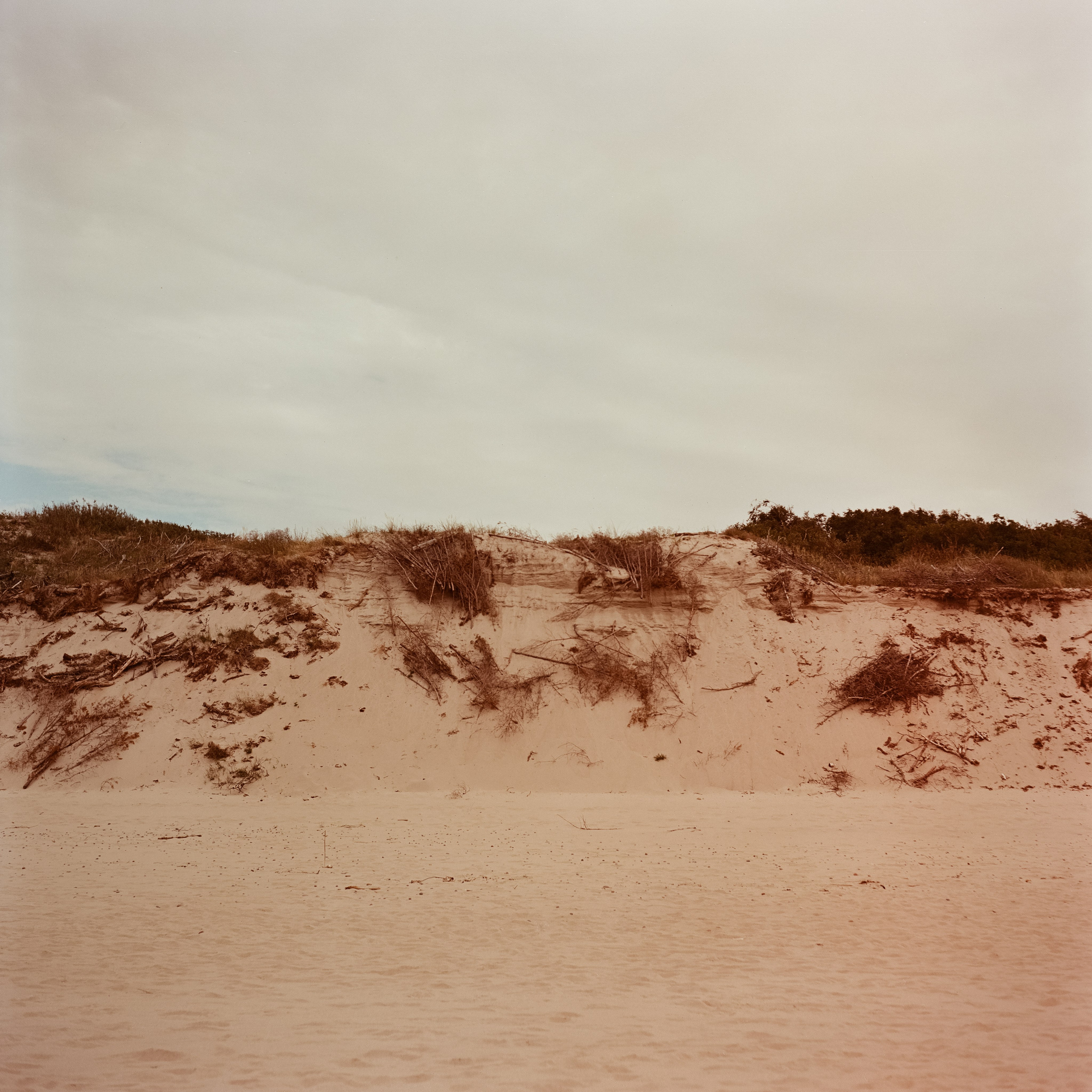 Куршская коса / Super Fujica-6 / Kodak Aeronega 100 (Kodak Aerocolor IV)