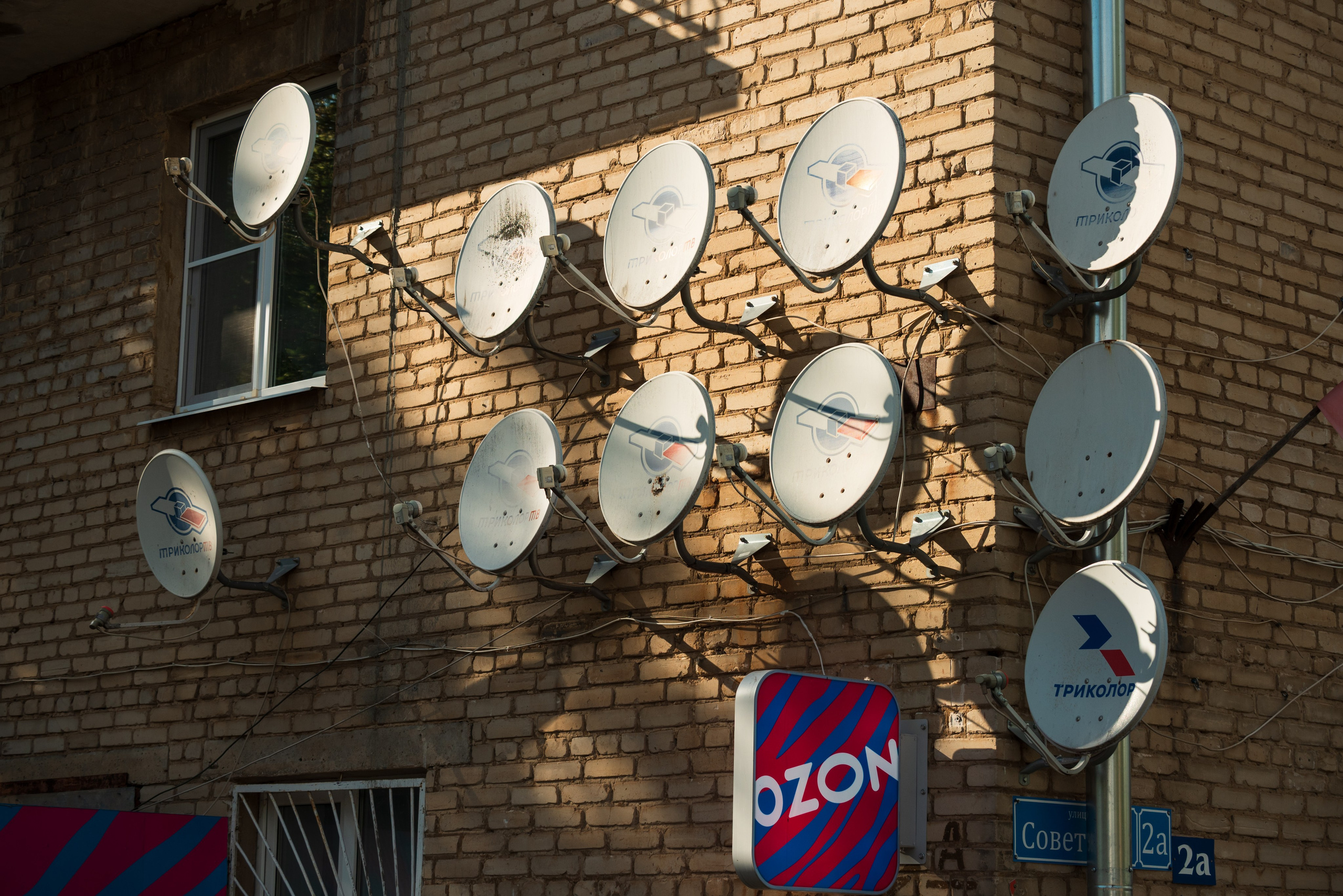 Липки. Фотограф и видеооператор в Туле | Даниил Рыбак