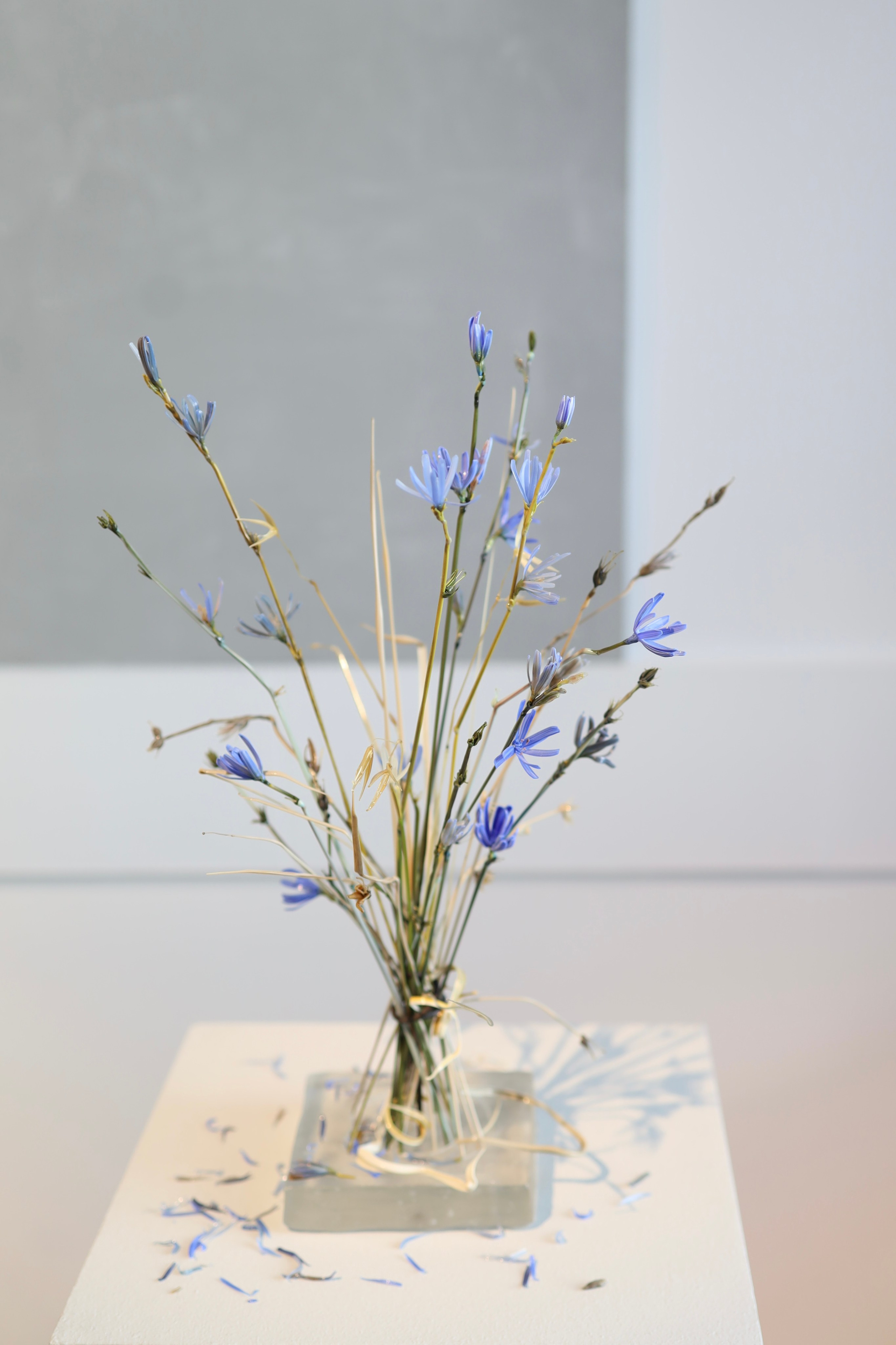 Выставка Степени прозрачности. Фотосессии и репортаж — Фотограф в Москве — Рина Серёгина