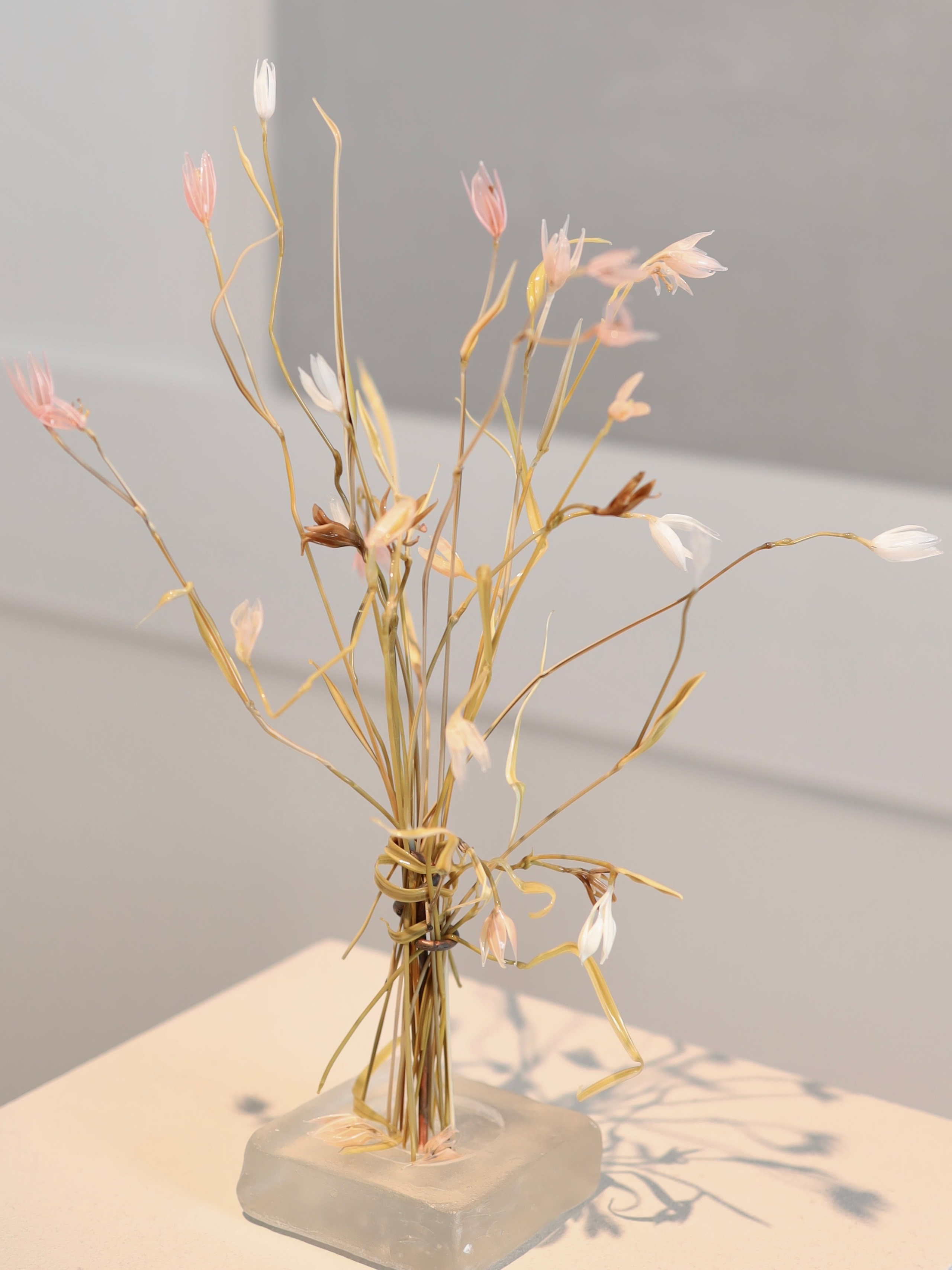 Выставка Степени прозрачности. Фотосессии и репортаж — Фотограф в Москве — Рина Серёгина