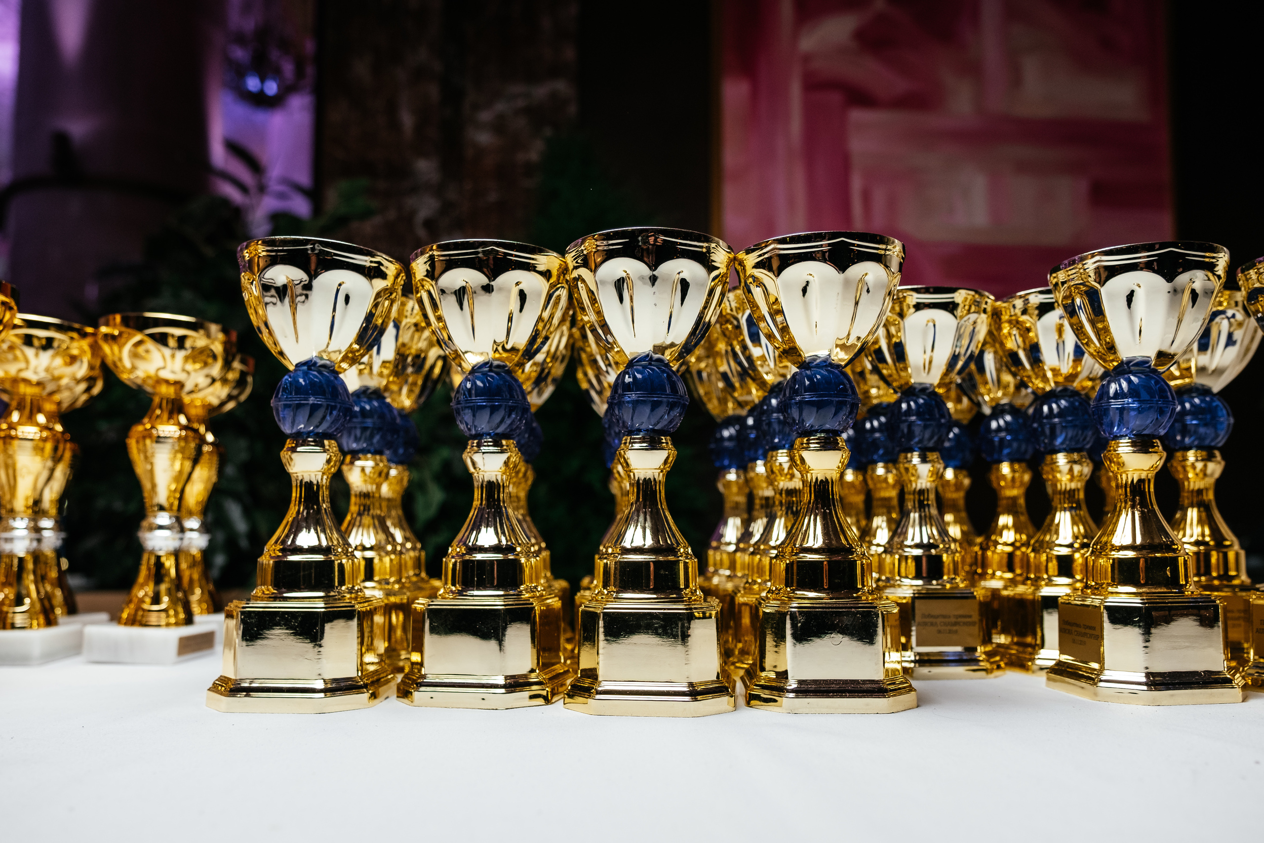 Aurora Beauty Award 2019. Свадебный и семейный фотограф