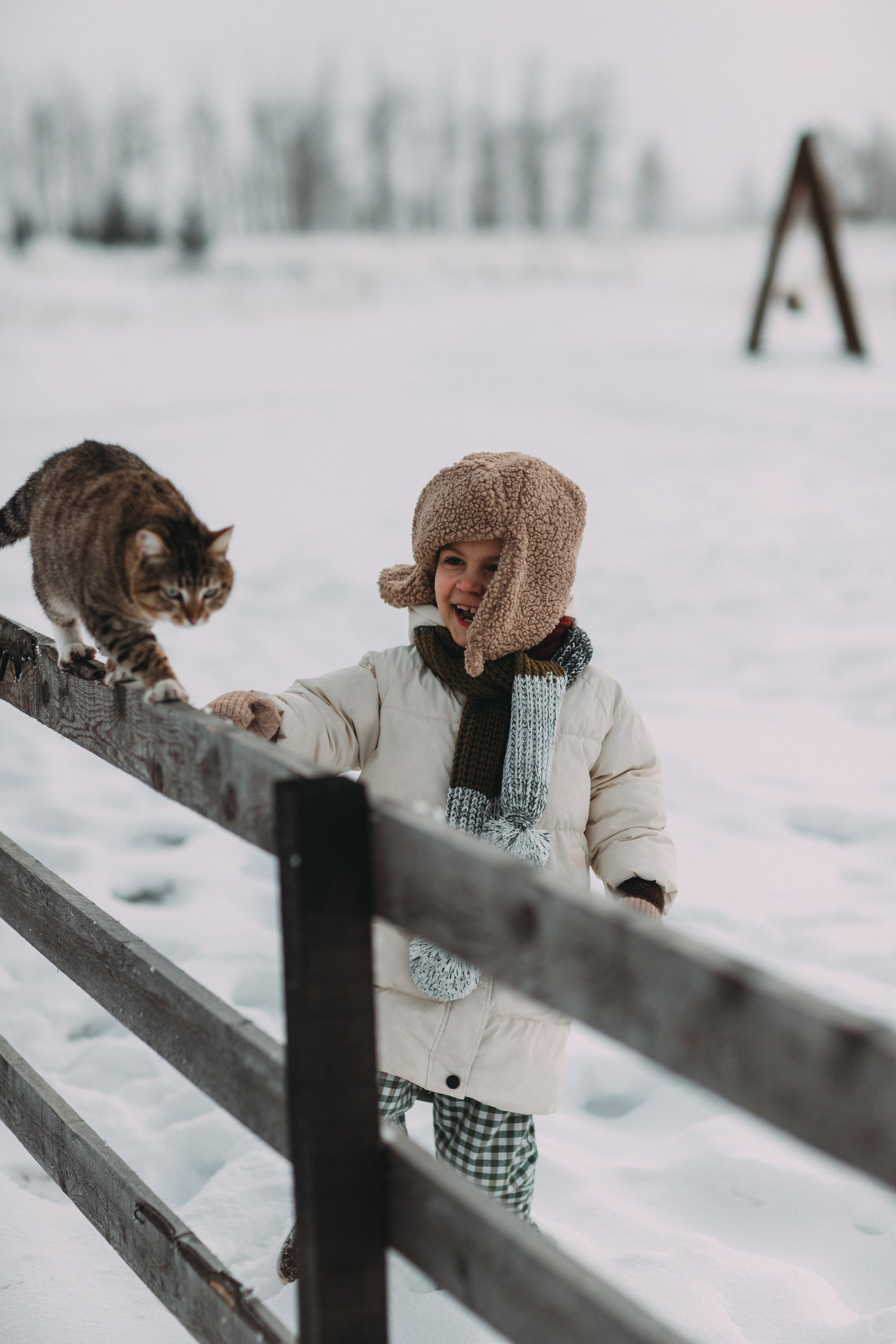 Треугольный домик. Главная