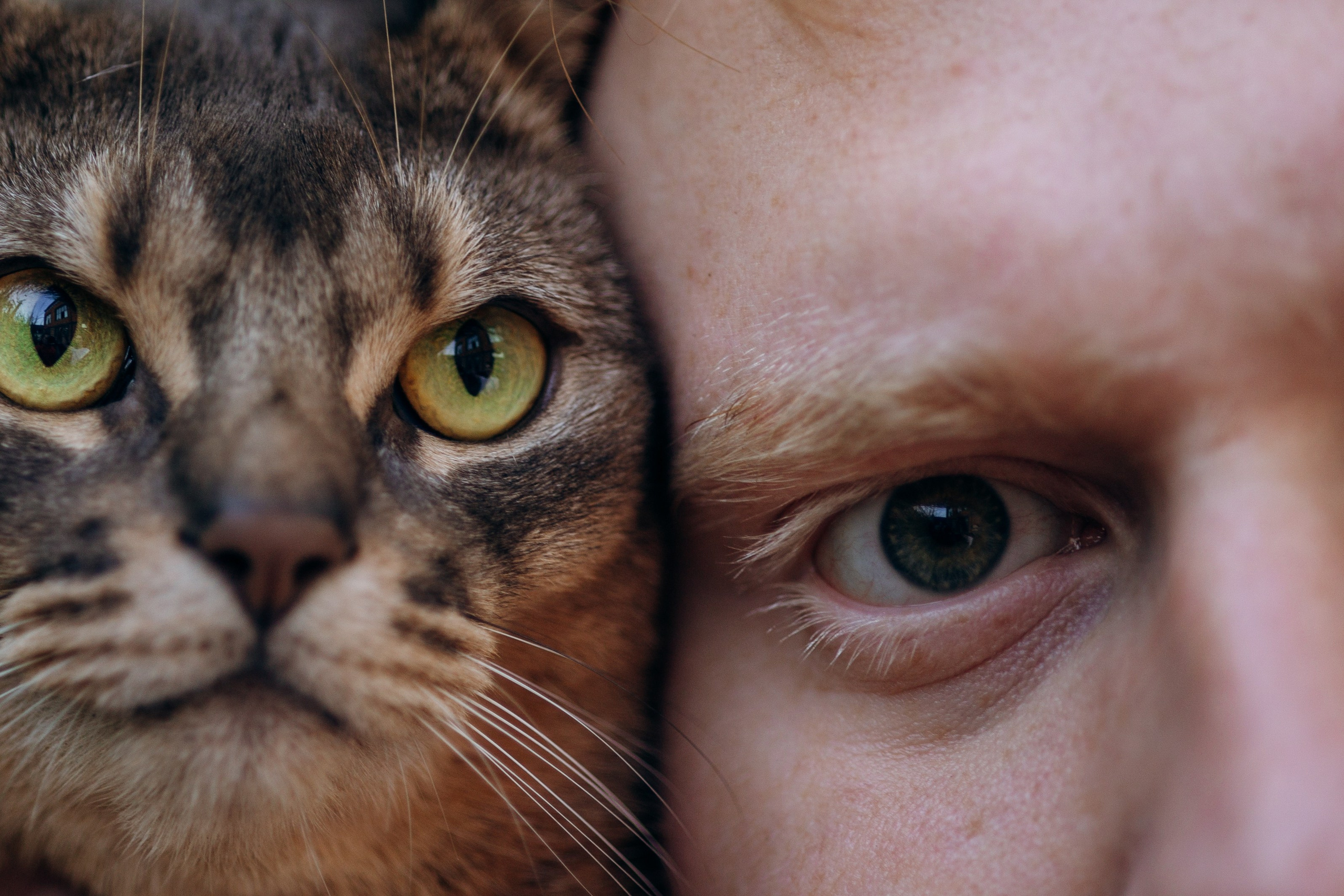 Циско и его семья. Фотограф — Анималист | Санкт-Петербург