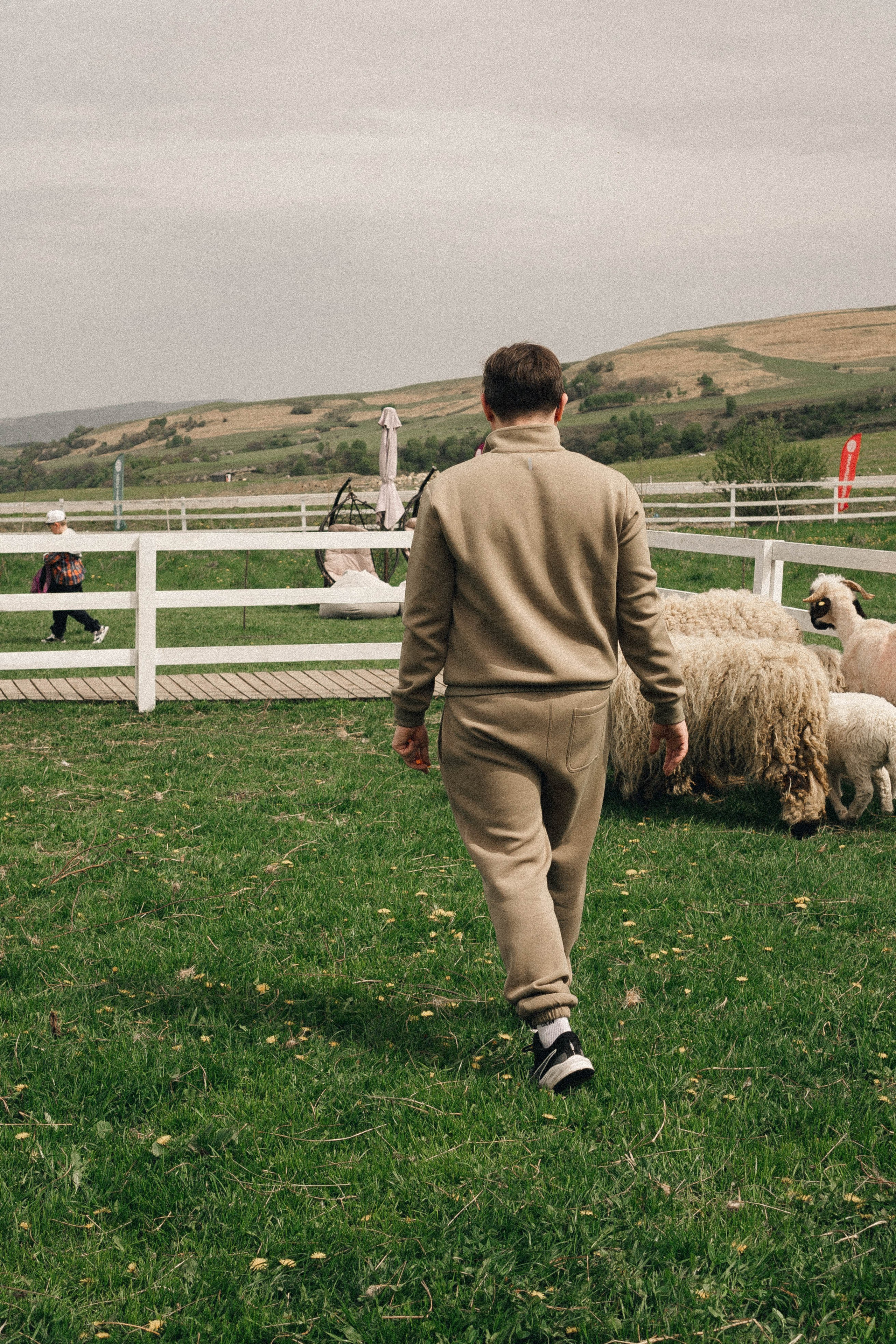 Ферма Альпак. Профессиональный фотограф, Санкт-Петербург — Виктория Богомолова