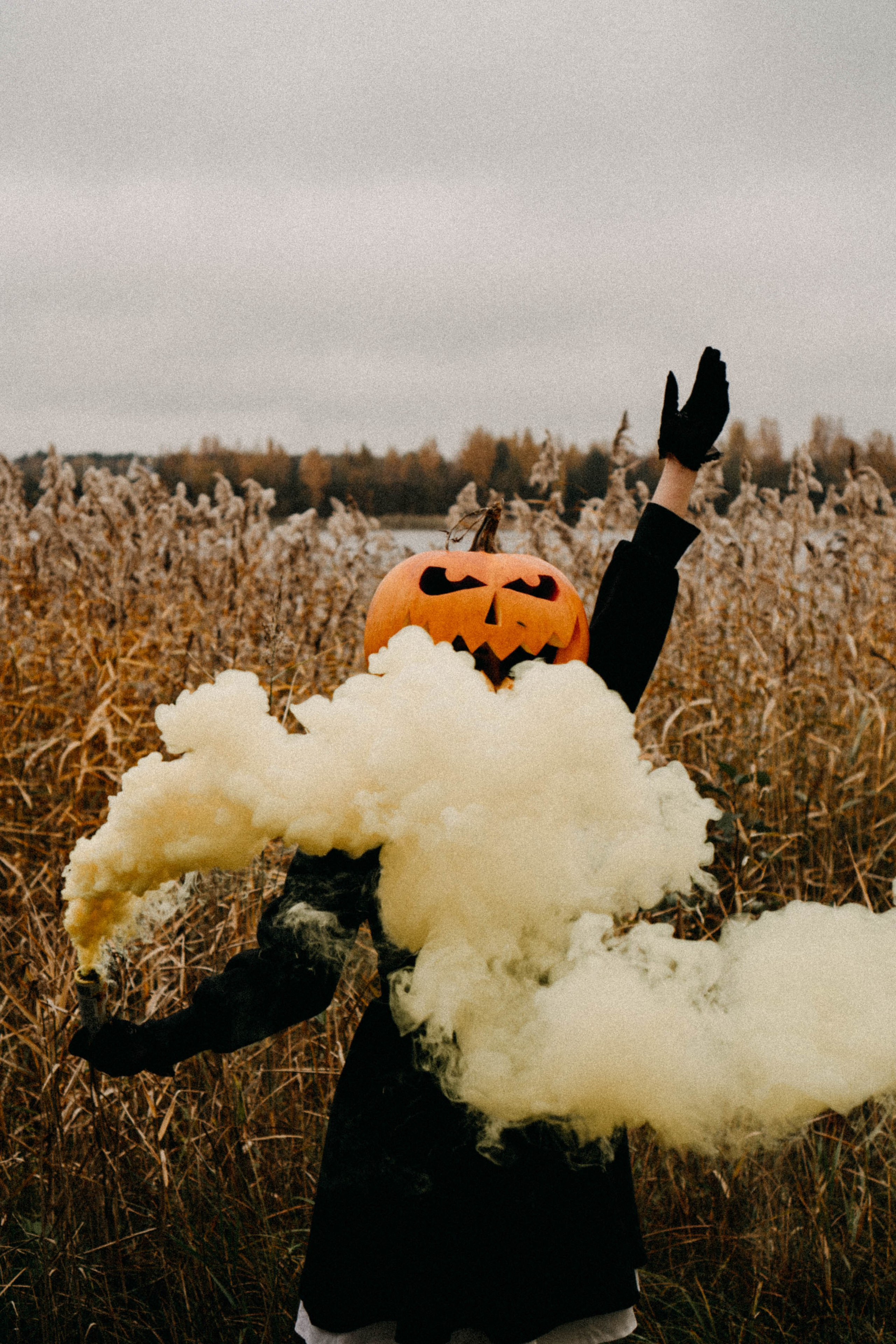 Осеняя. Профессиональный фотограф, Санкт-Петербург — Виктория Богомолова