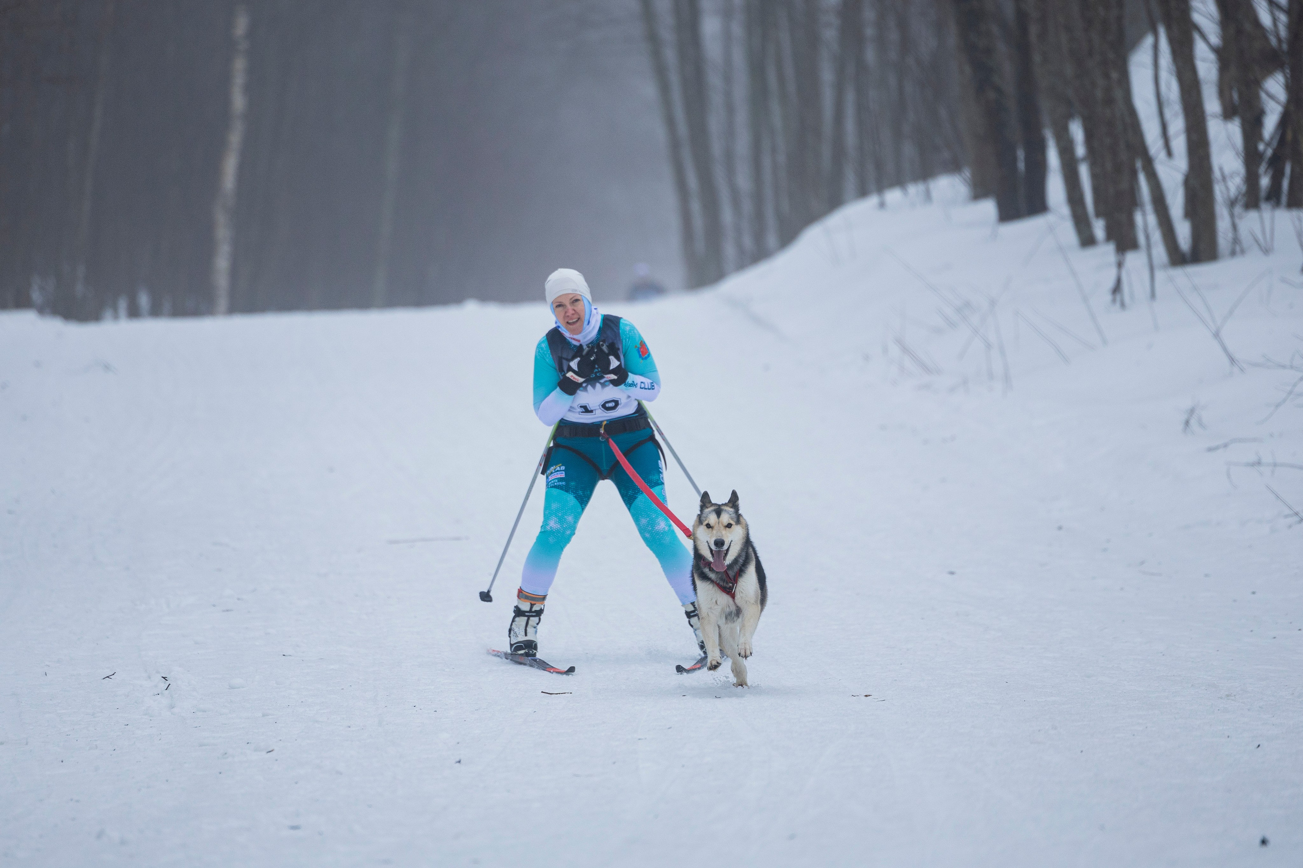 Зимний Чемпионат Санкт-Петербурга по ездовому спорту. Фотограф-анималист Анна Маринич