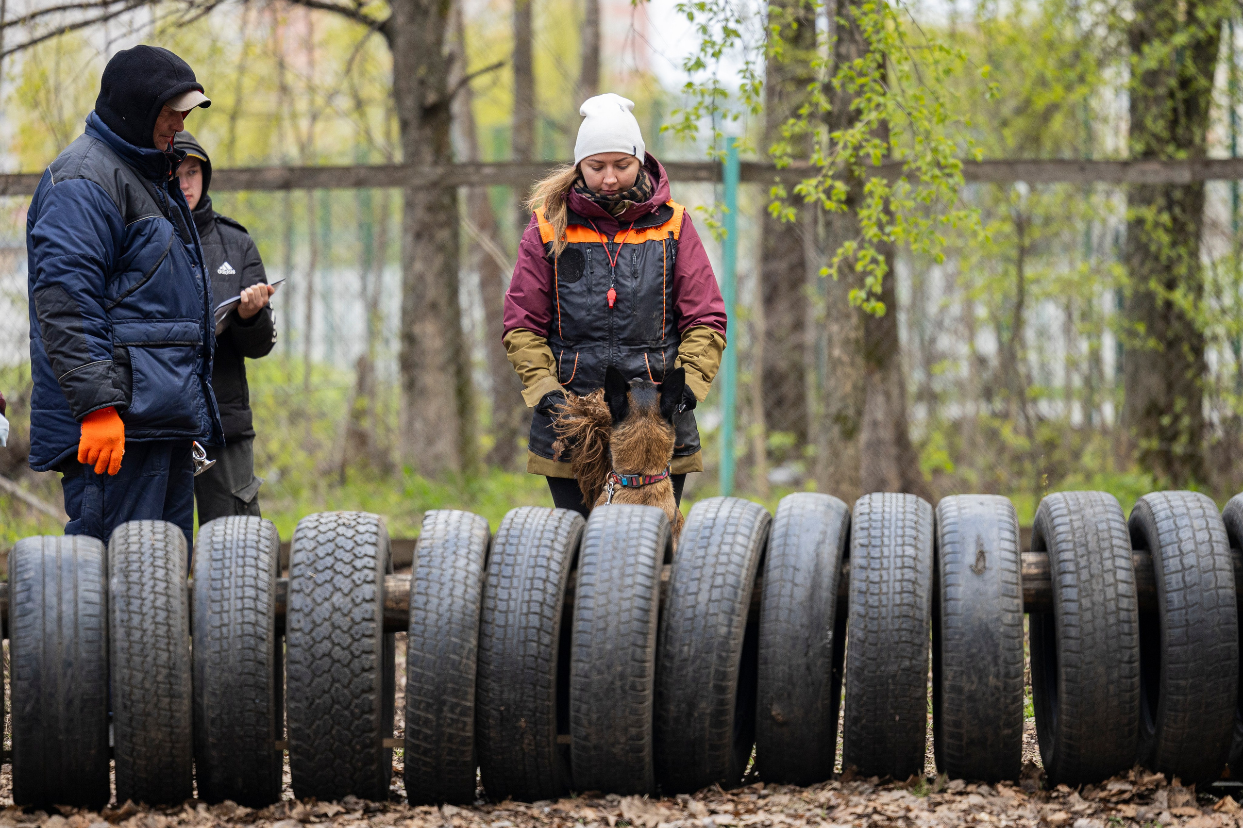 Квалификационные состязания по мондьорингу г. Вологда 11.05.24. Фотограф-анималист Анна Маринич