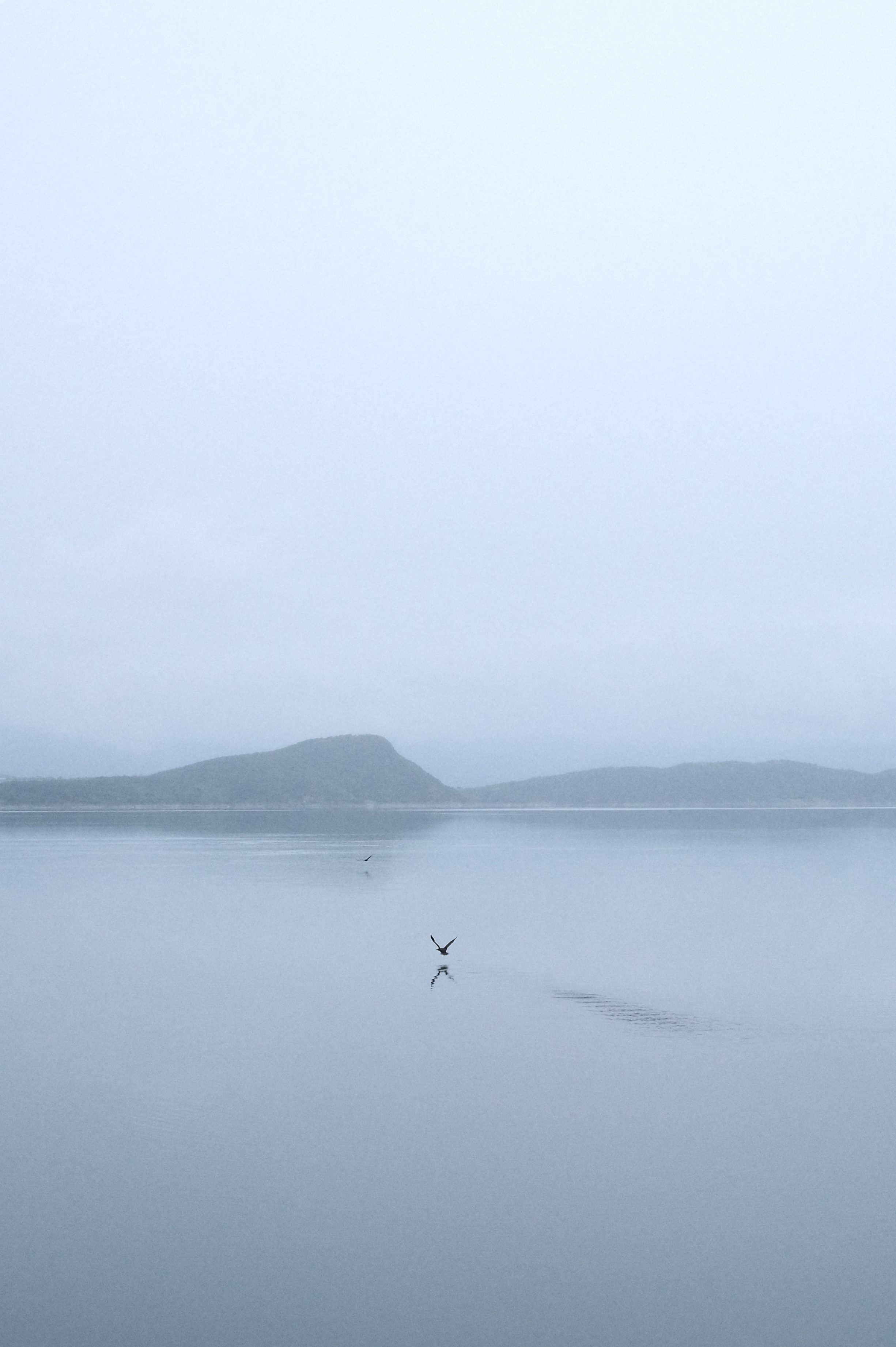 Автор: Михаил Половодов