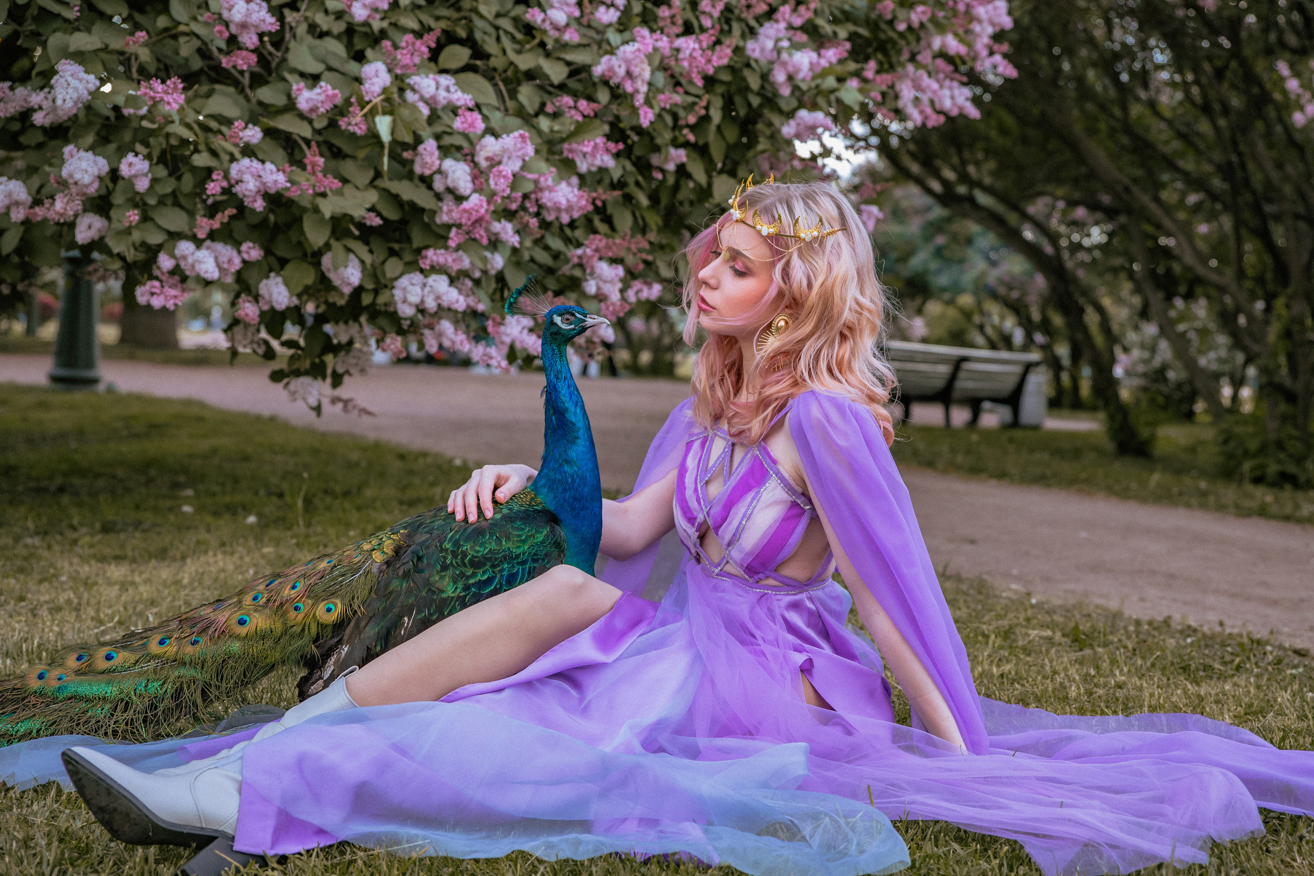 Павлин. Elena Sova — семейный и женский фотограф в Санкт-Петербурге