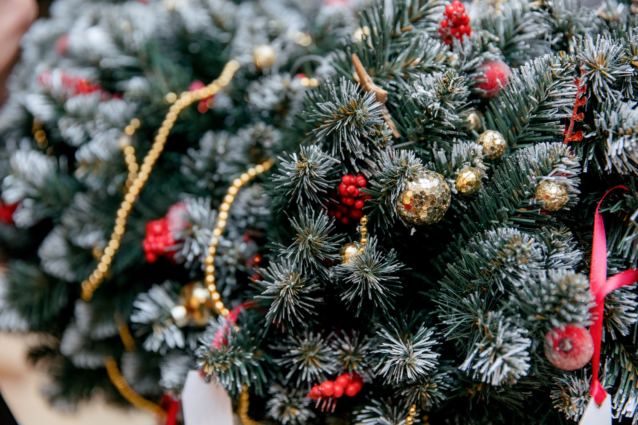 ПОКОЛЕНИЕ БУДУЩЕГО. Фотограф в Красноярске