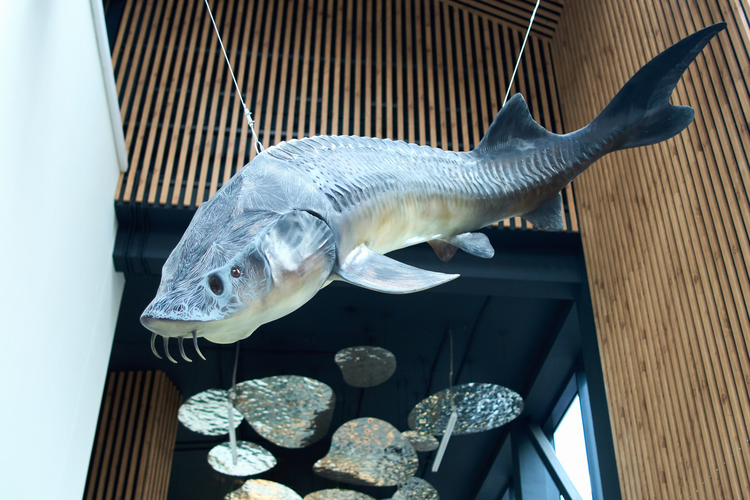 Города. Василий Буйлов|Vasilii Builov