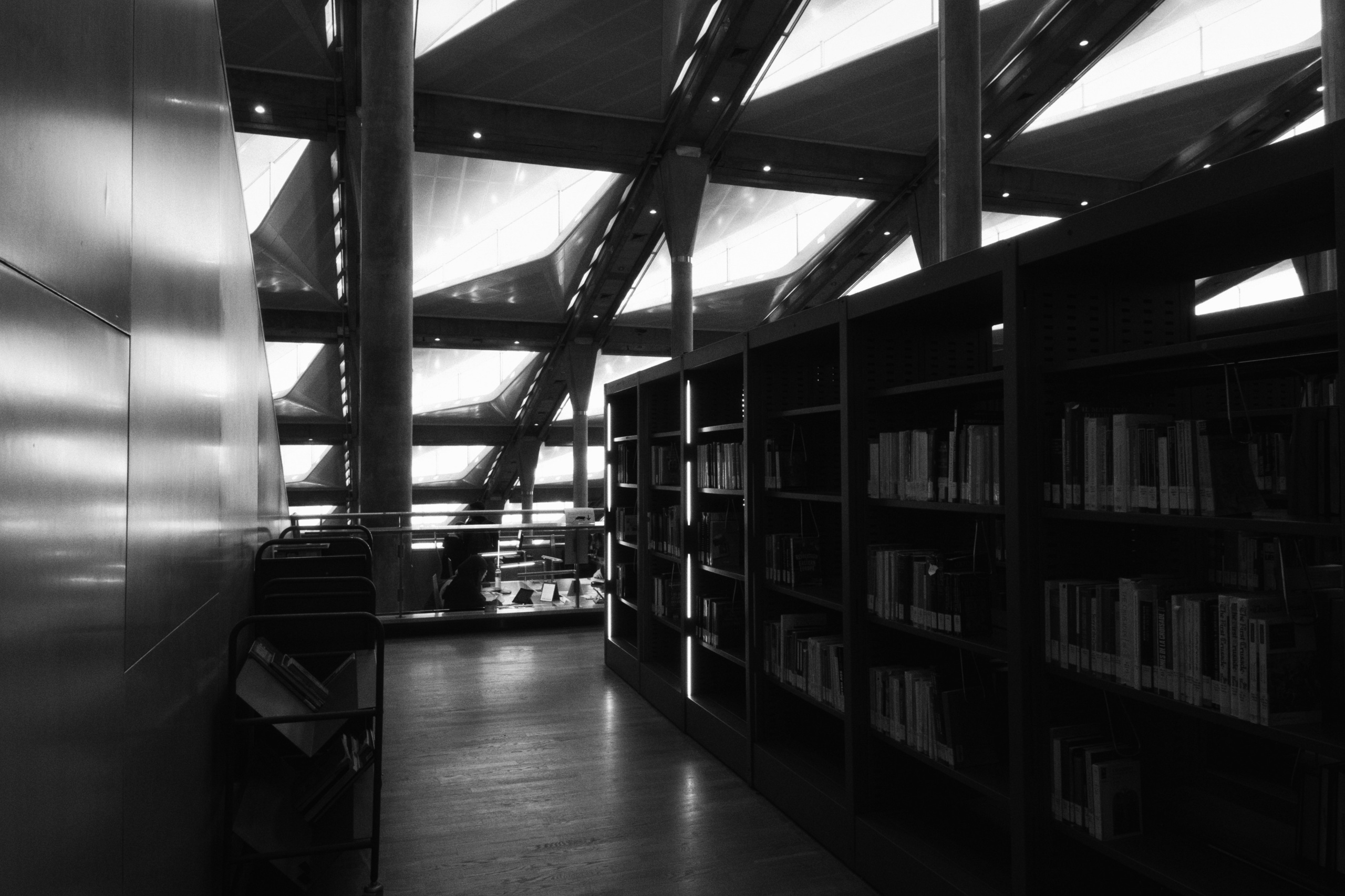 Bibliotheca Alexandrina / Alexandria, Egypt AW25. Фотограф Юрин Евгений