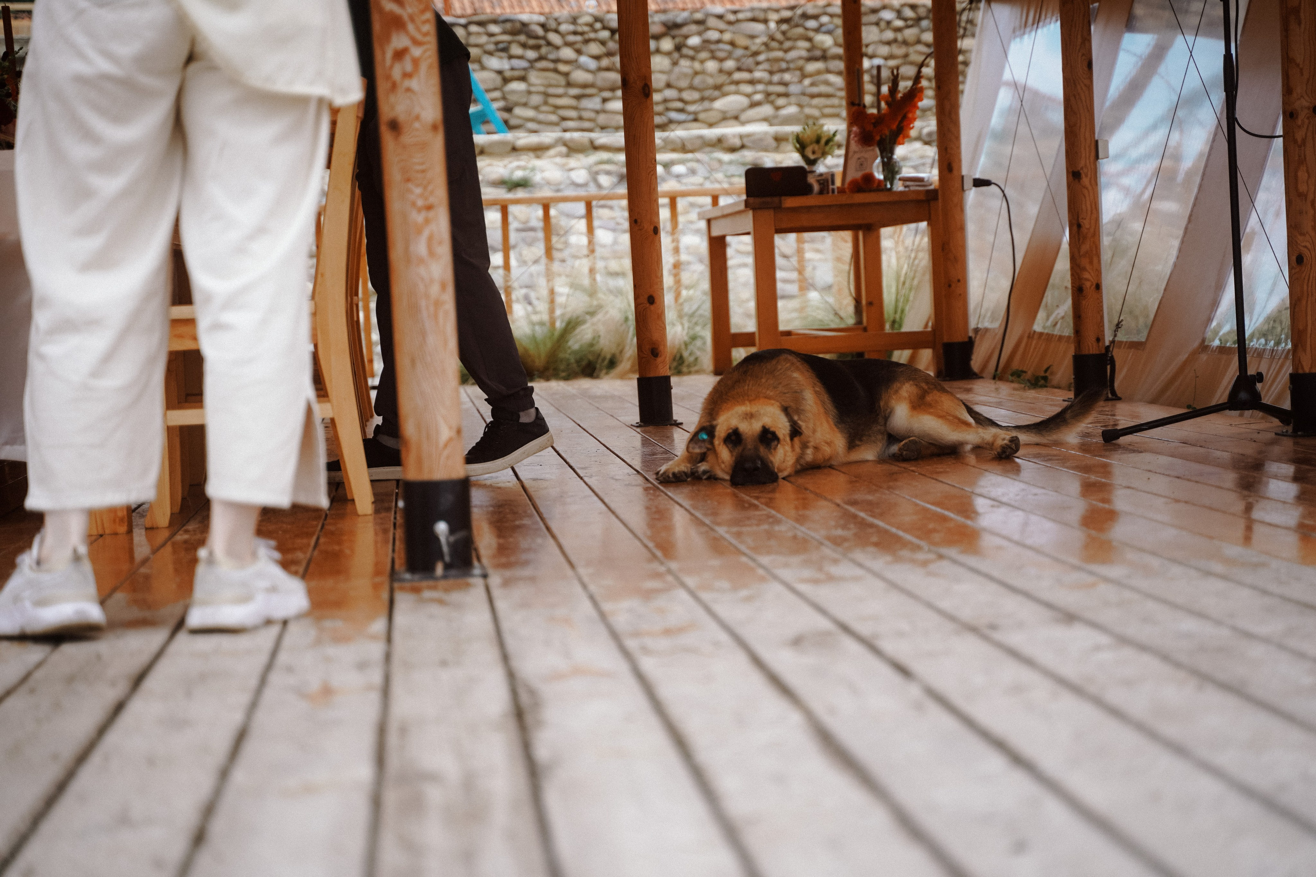 Тбилиси-на-Дону. Фотограф в Ростове-на-Дону и Краснодаре Роман Кудрявцев