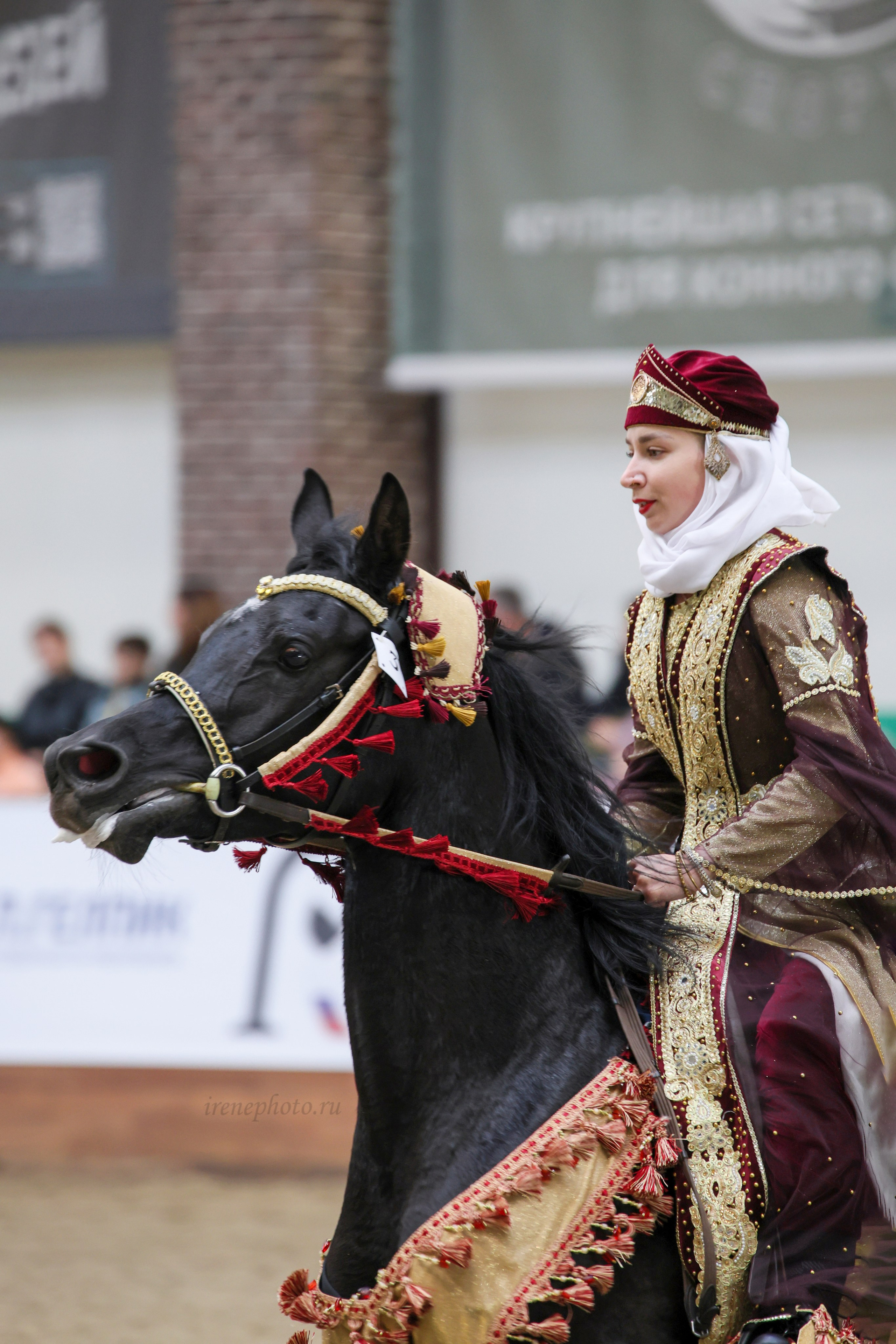 Конная Россия 2024. Irenephoto.ru