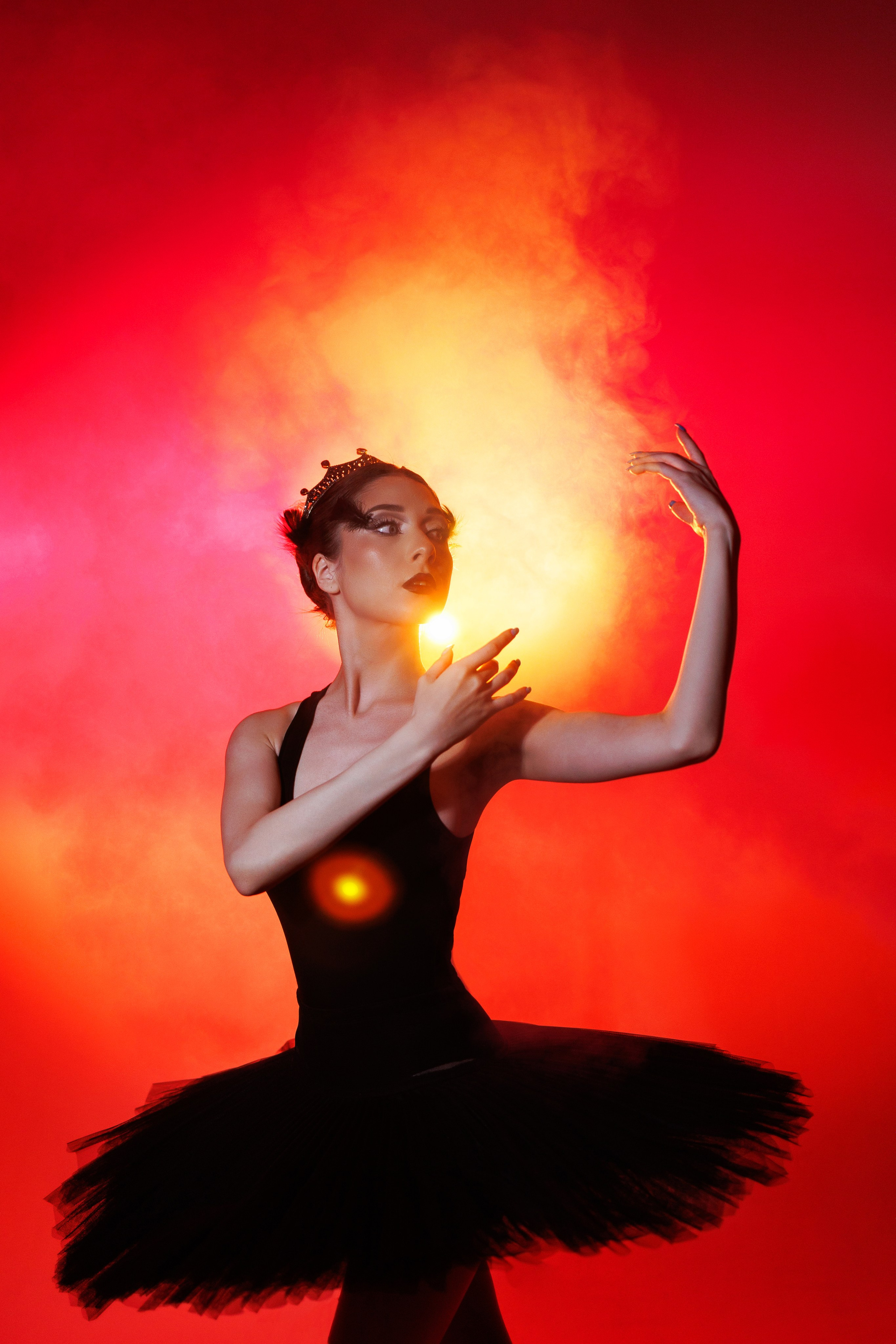 Черный лебедь. Марковкина КрисТина