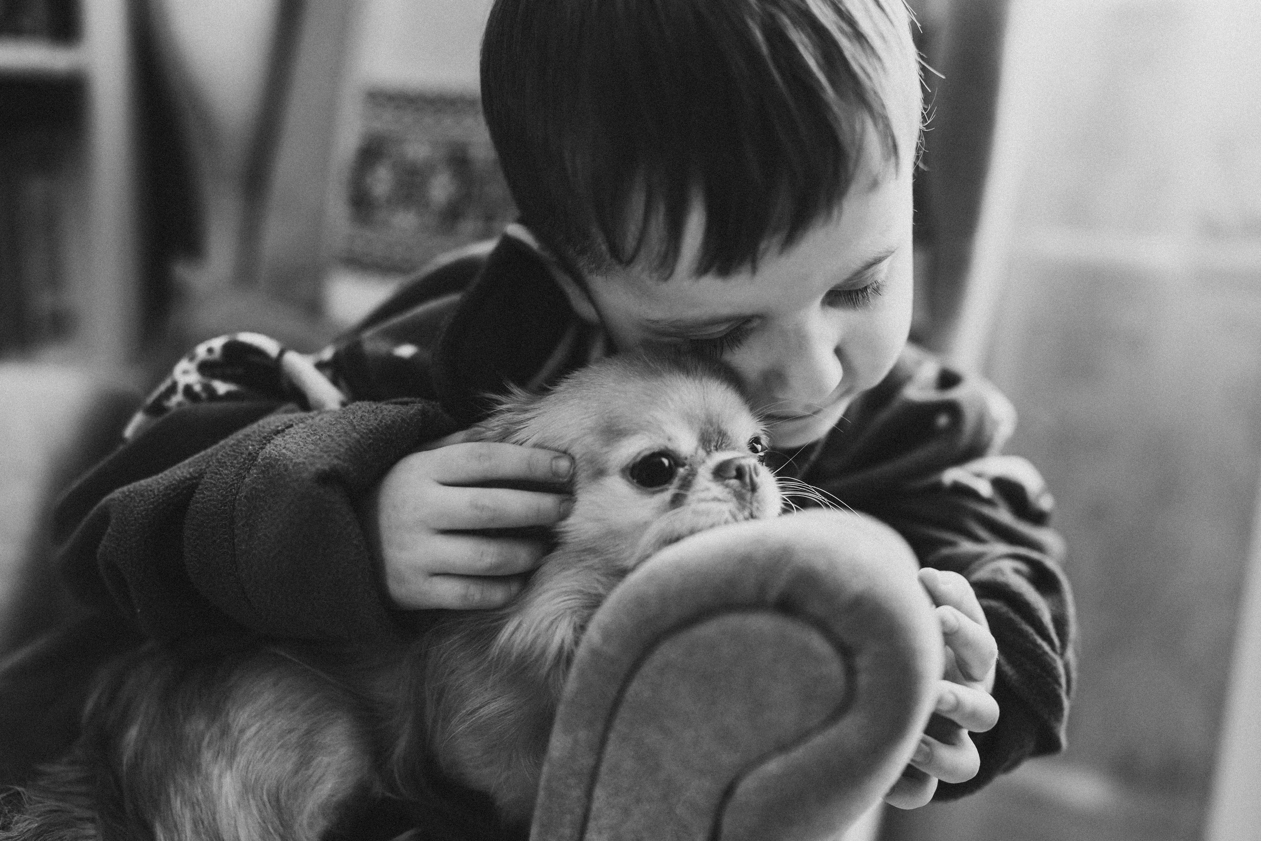 Стоимость. Детский, семейный и ньюборн фотограф в Москве Юлия Шуарт