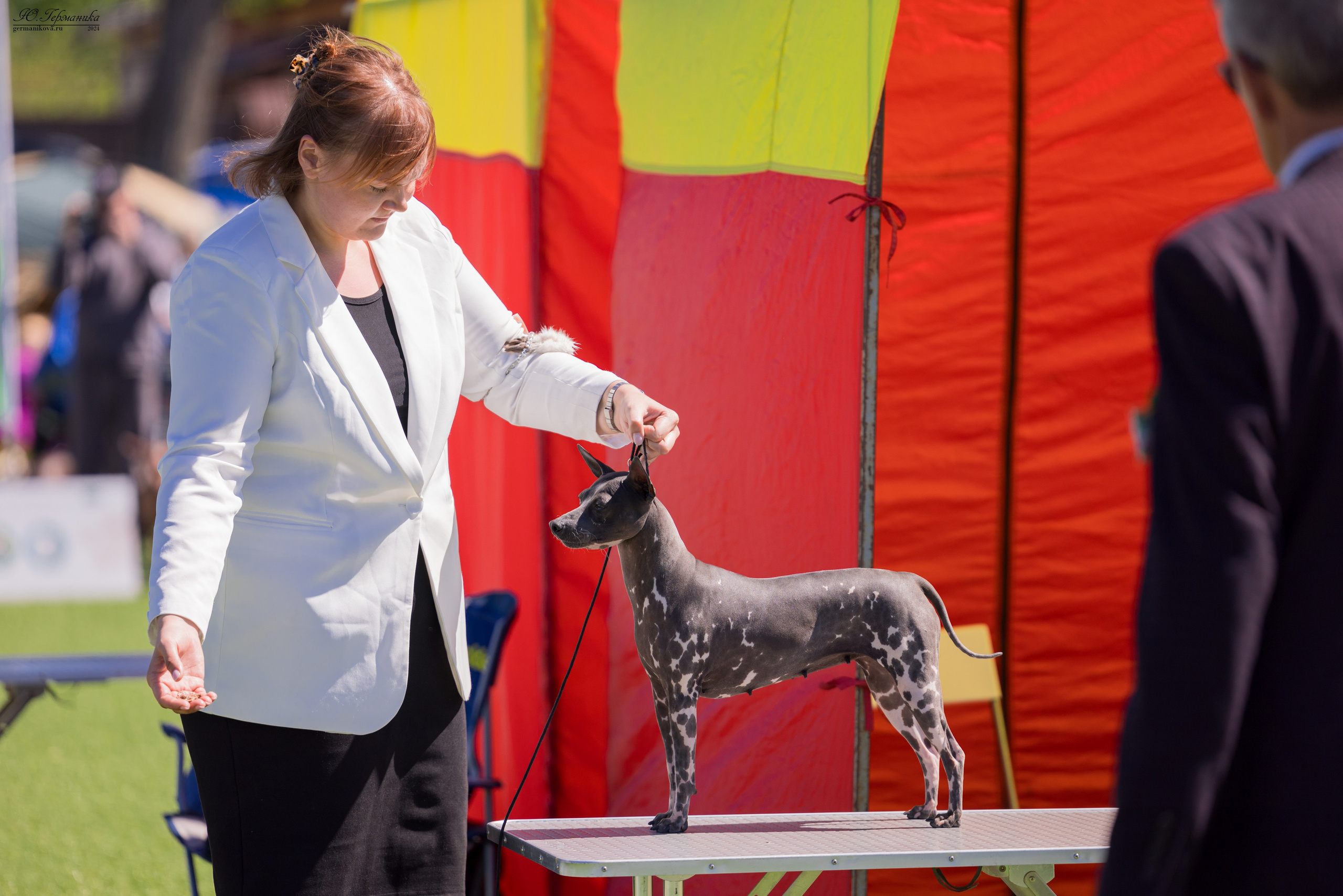 Суздаль 18-19.05.2024. Фотограф-анималист Юлия Германика