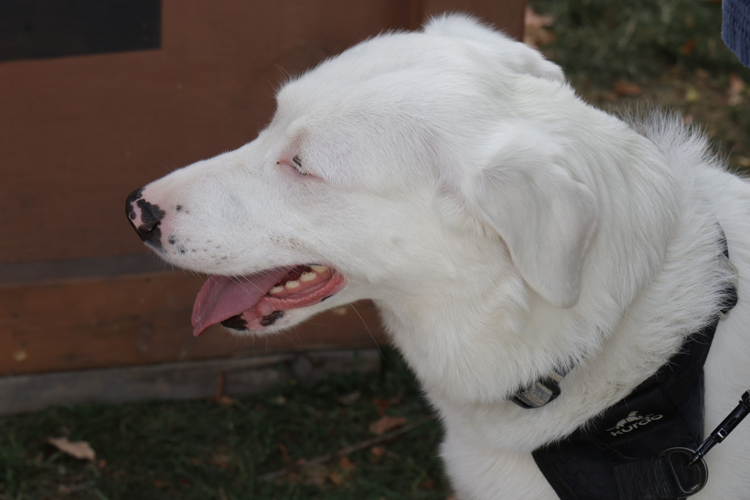 Queen St West Art Crawl. Portrait photographer based in Toronto — Blinova Mariia