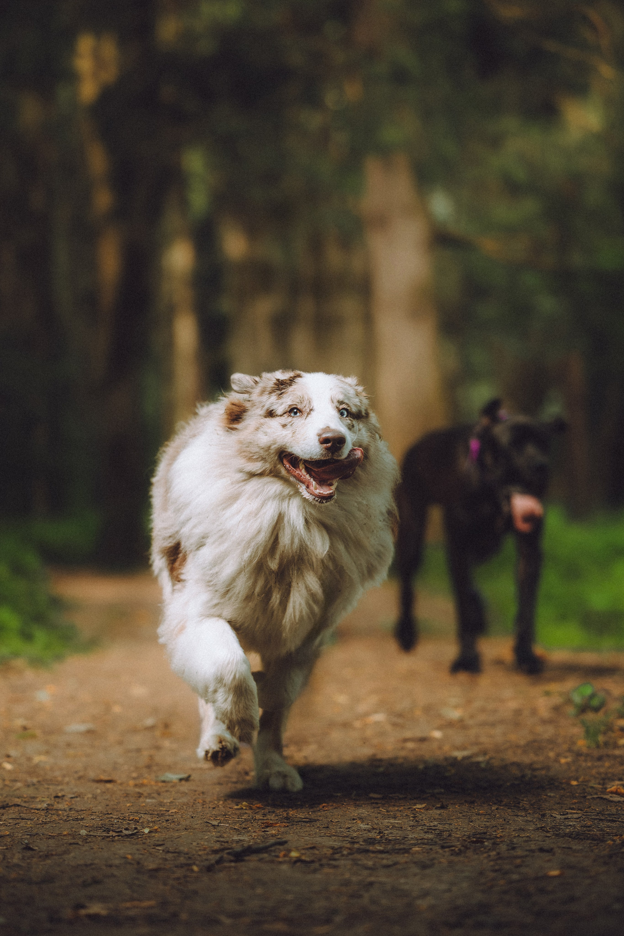 Катя, Андрей, Гектор, Ричи, Тортик и Трой