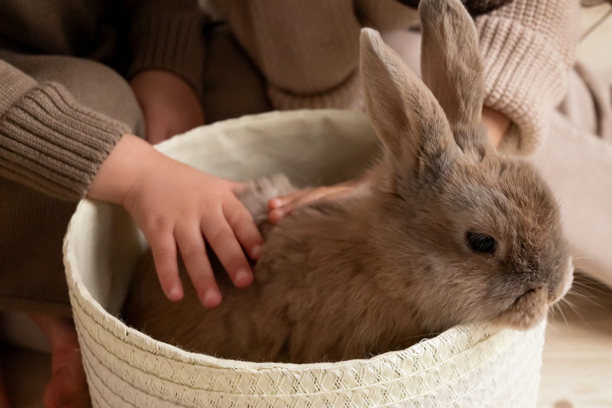 Детская студийная фотосессия. Профессиональный фотограф в Твери Иванова Юлия