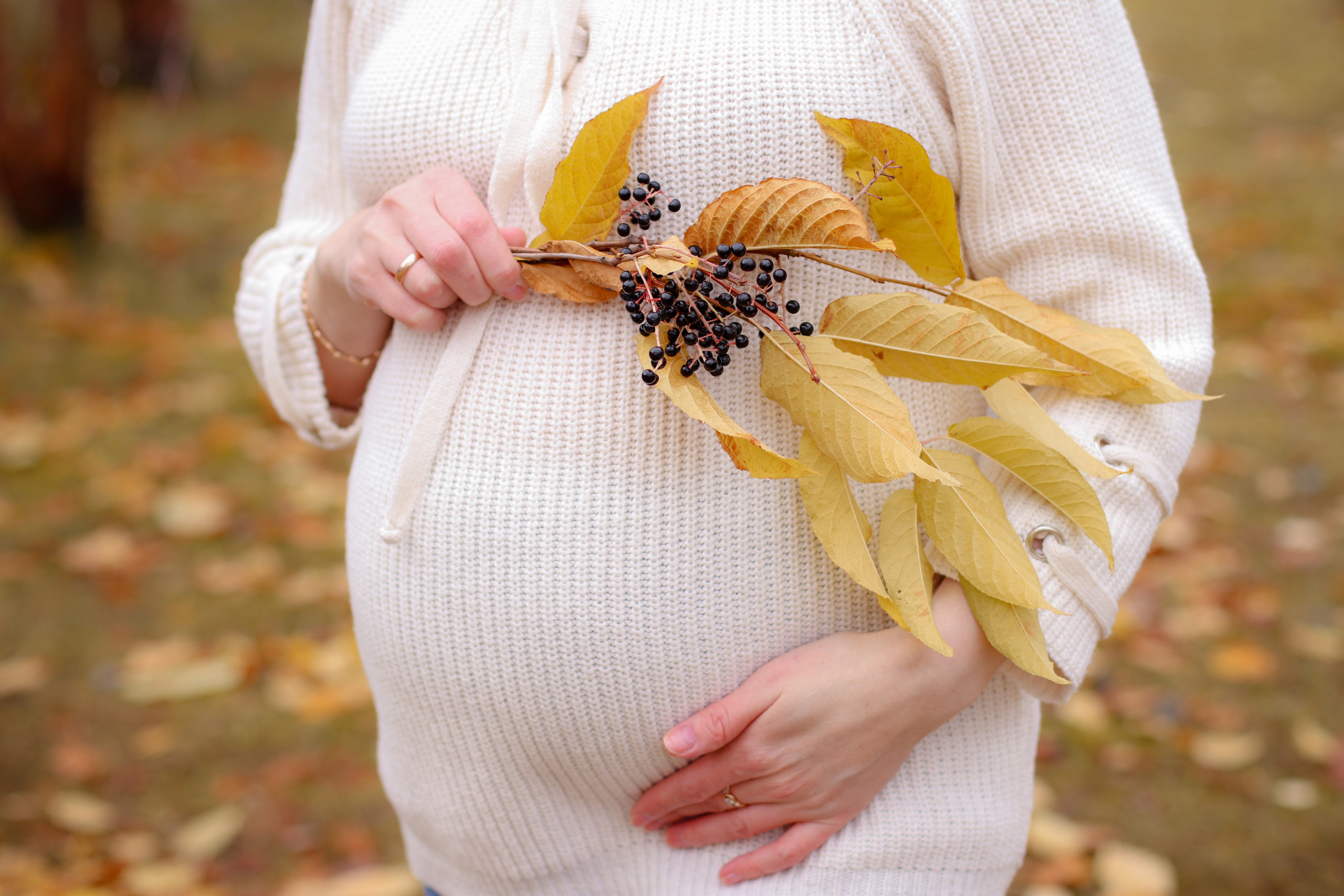 Прогулочная по лесу. Фотограф в Сургуте Брызгунова Анастасия