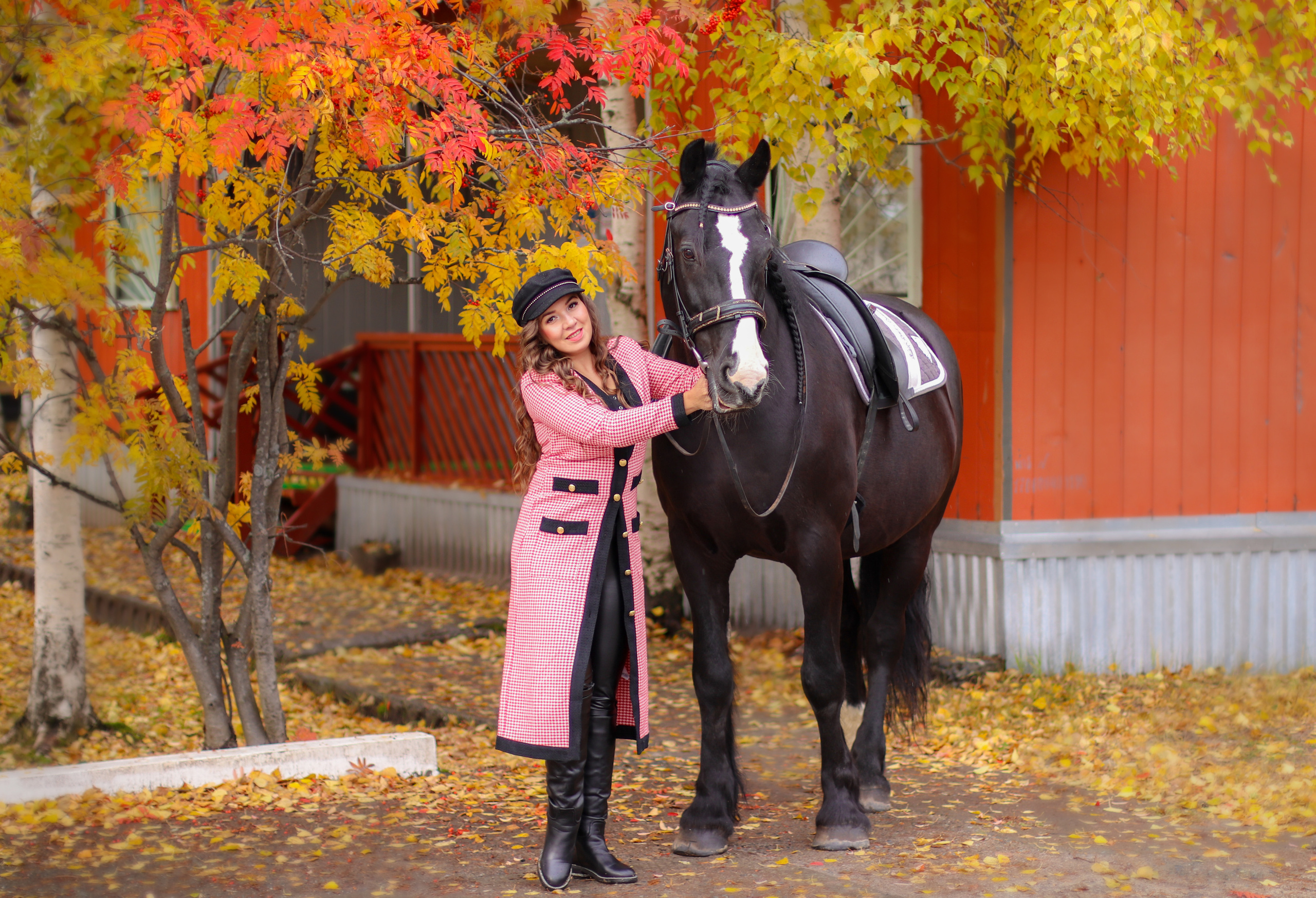Фото с лошадьми. Фотограф в Сургуте Брызгунова Анастасия