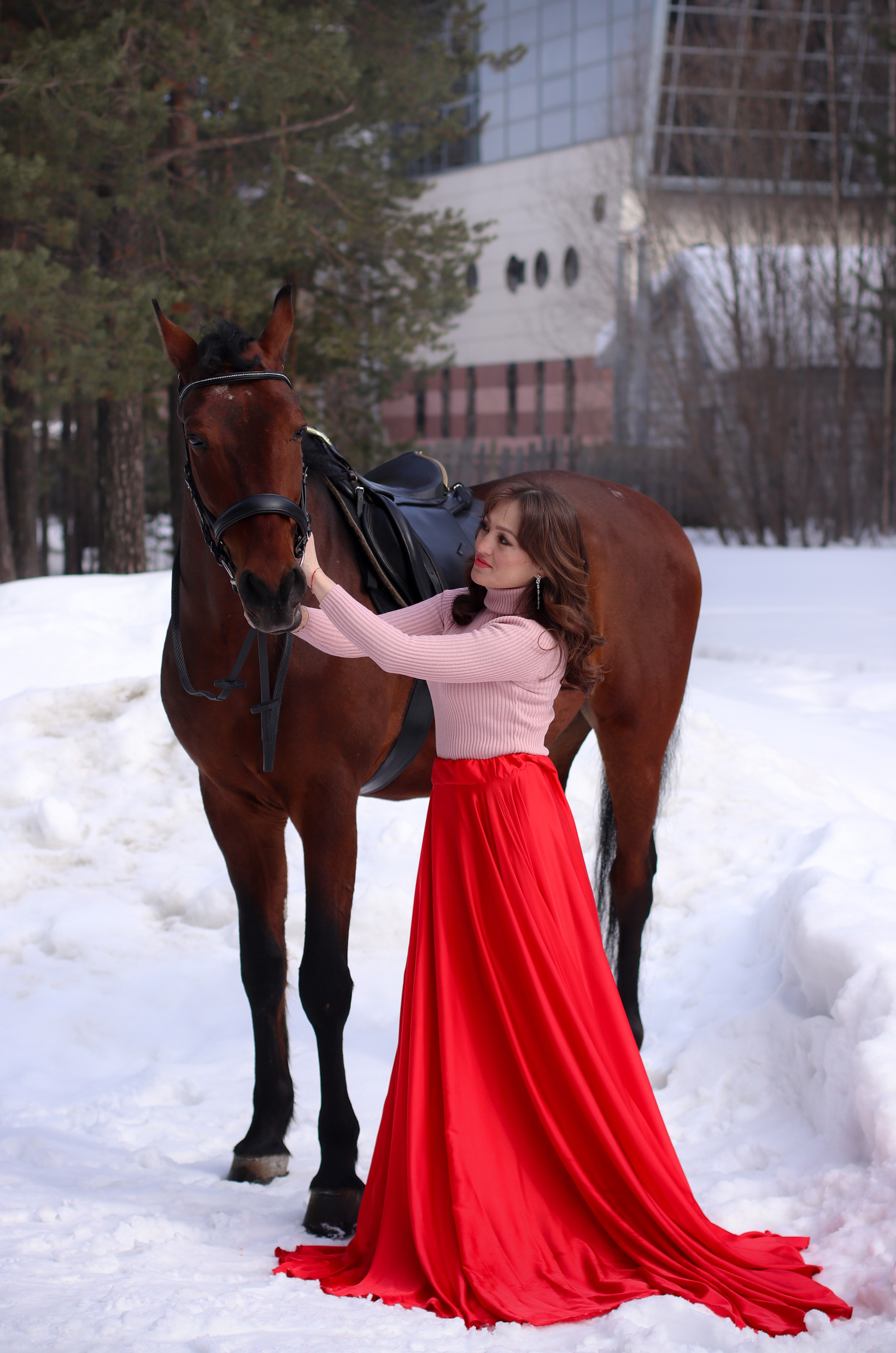 Лошади. Фотограф в Сургуте Брызгунова Анастасия