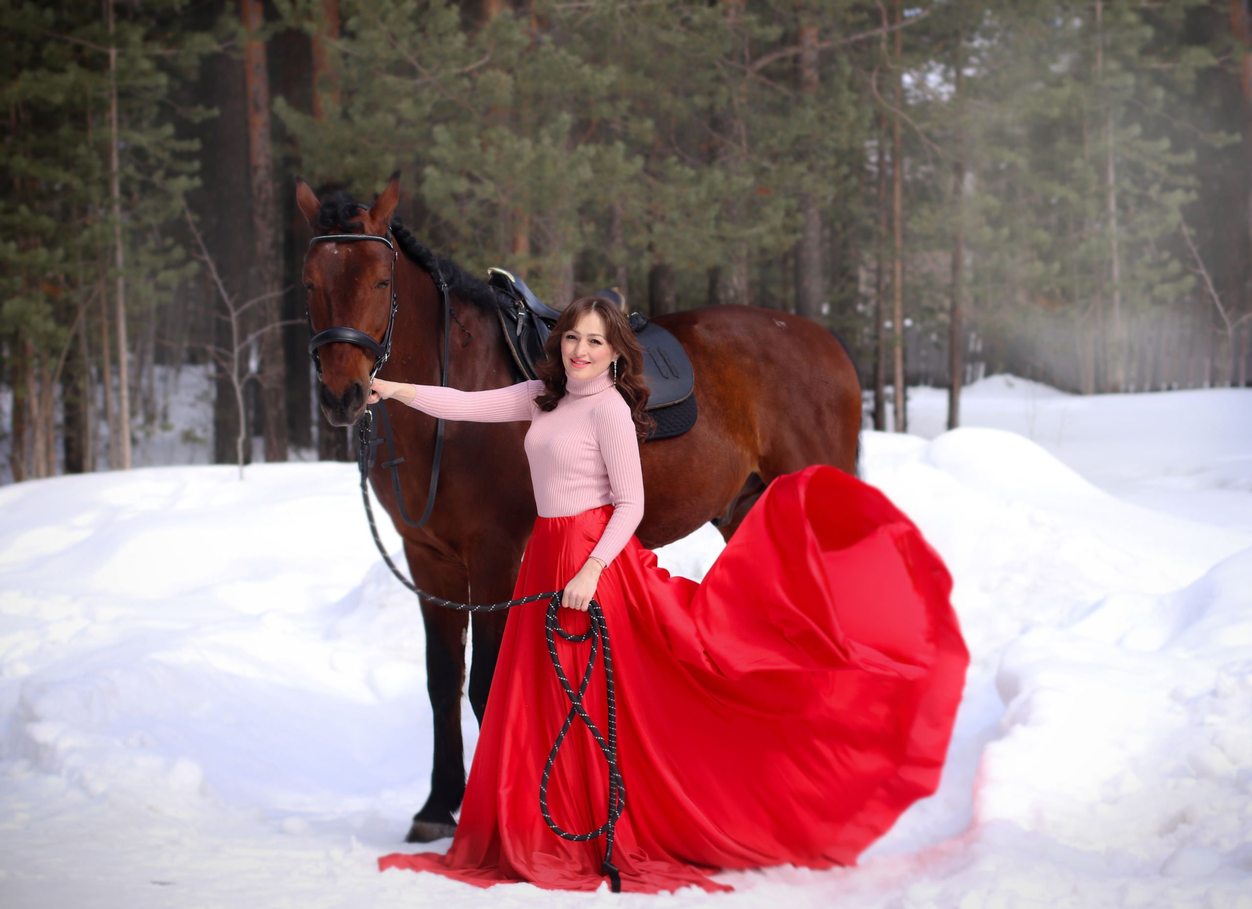 Лошади. Фотограф в Сургуте Брызгунова Анастасия