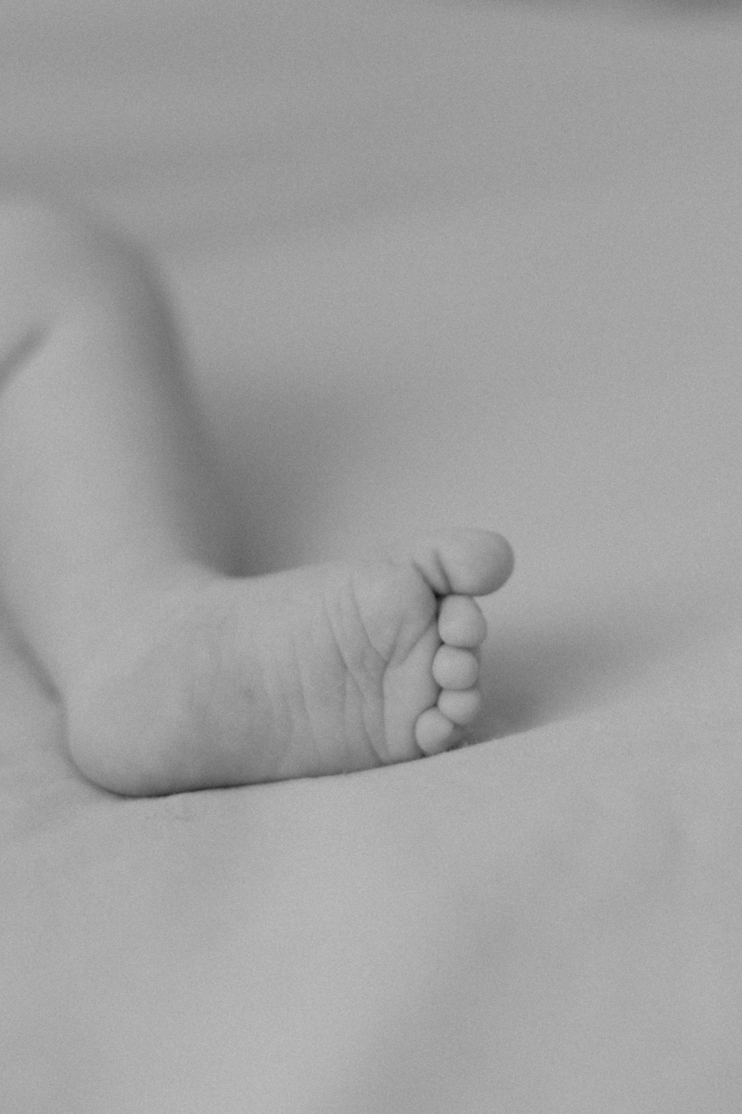 Оля, Паша и Сэмик. Фотограф Иваново Ольга Исакова