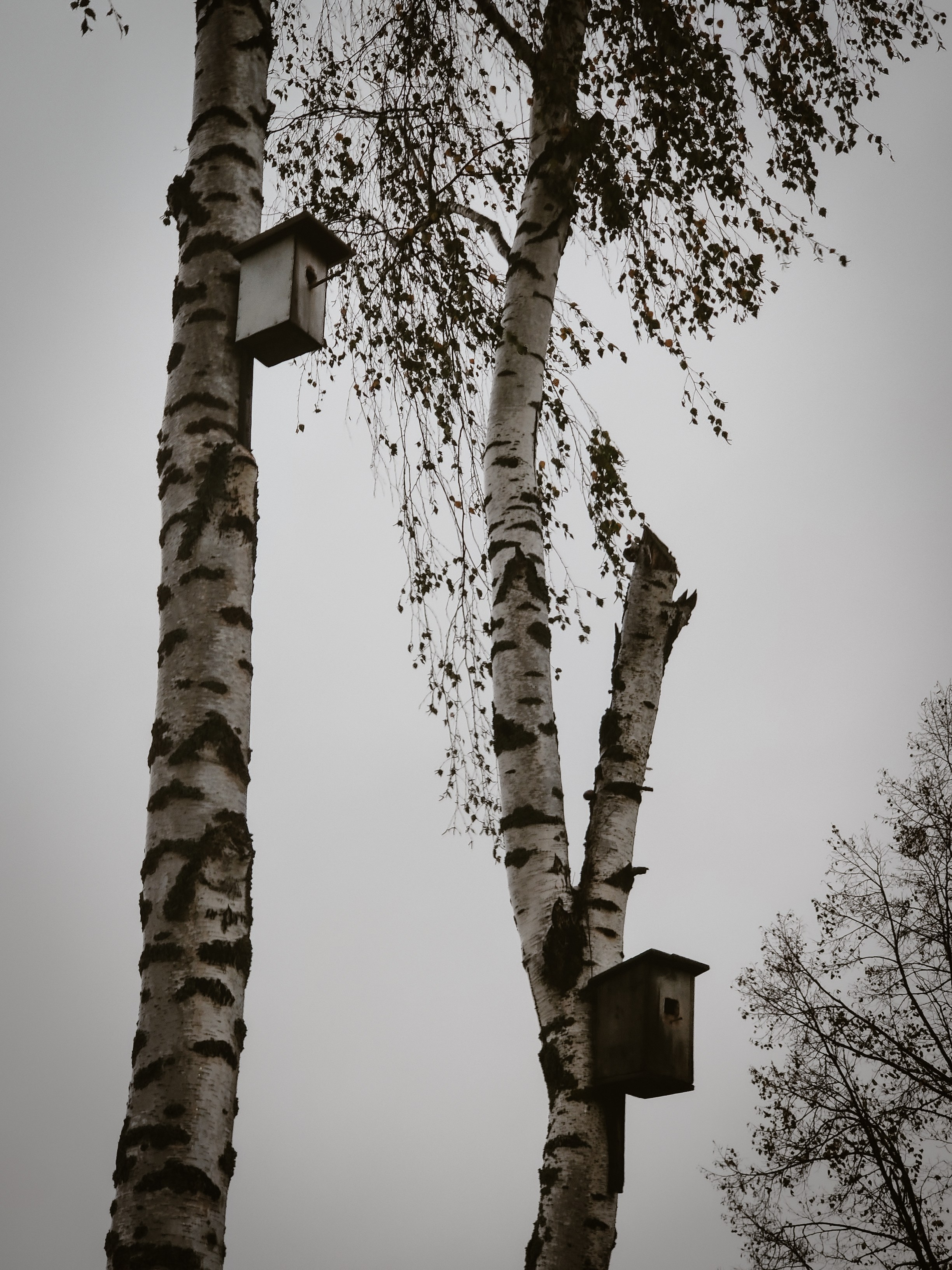 Вятское. Dmitriy [KCCC] is a pretty cool photographer