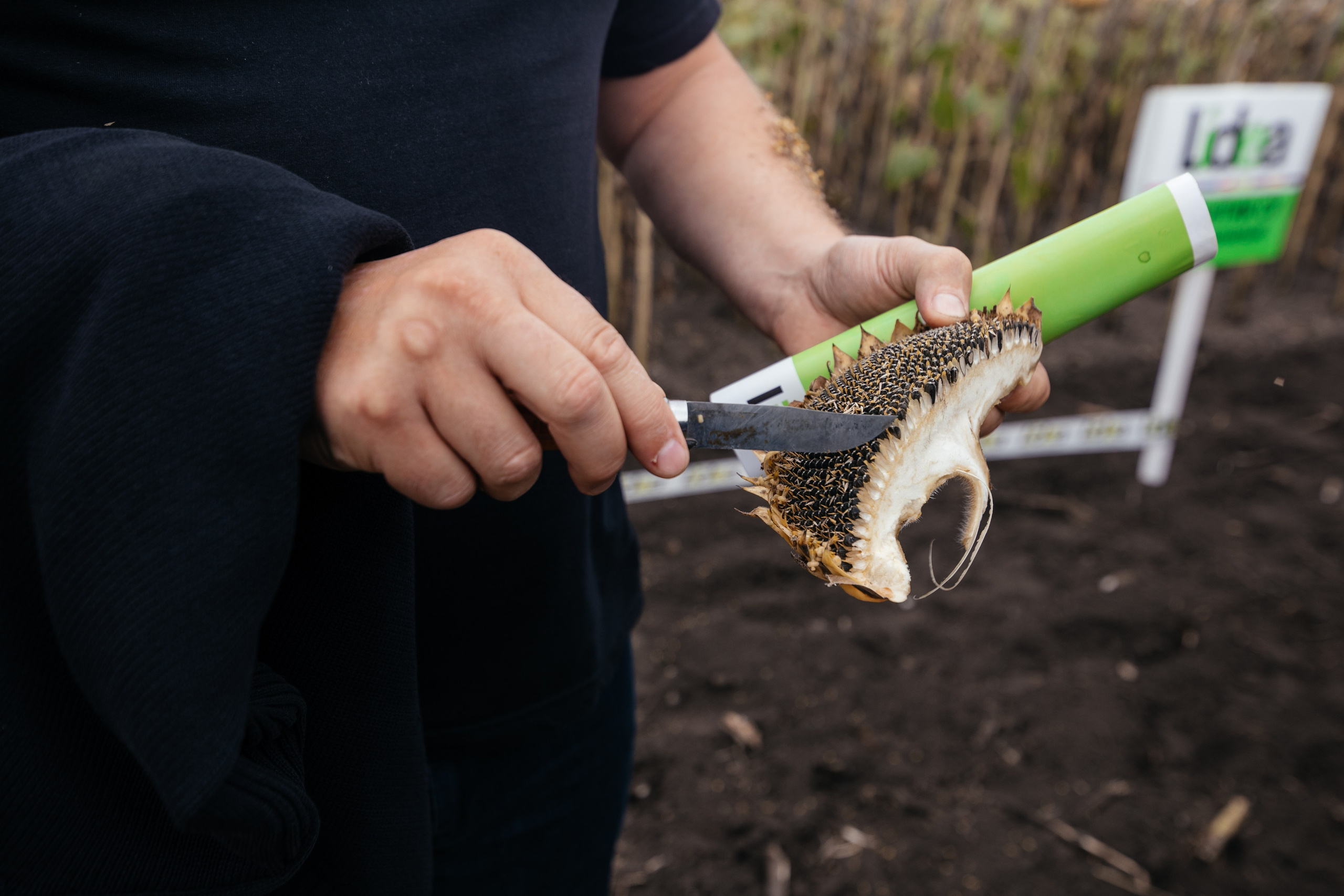 День поля. Фотограф Крохин Олег