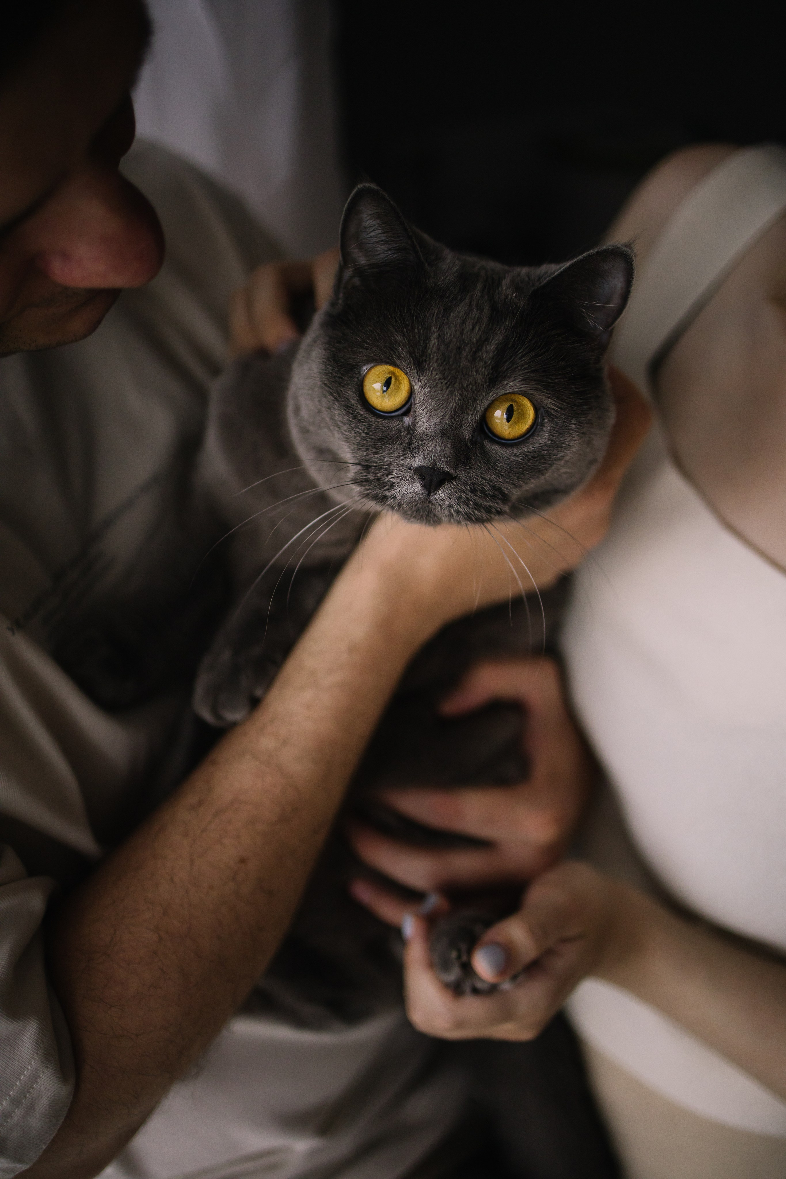 Домашняя семейная фотосессия с младенцем. Семейный фотограф в Томске Максимова Екатерина