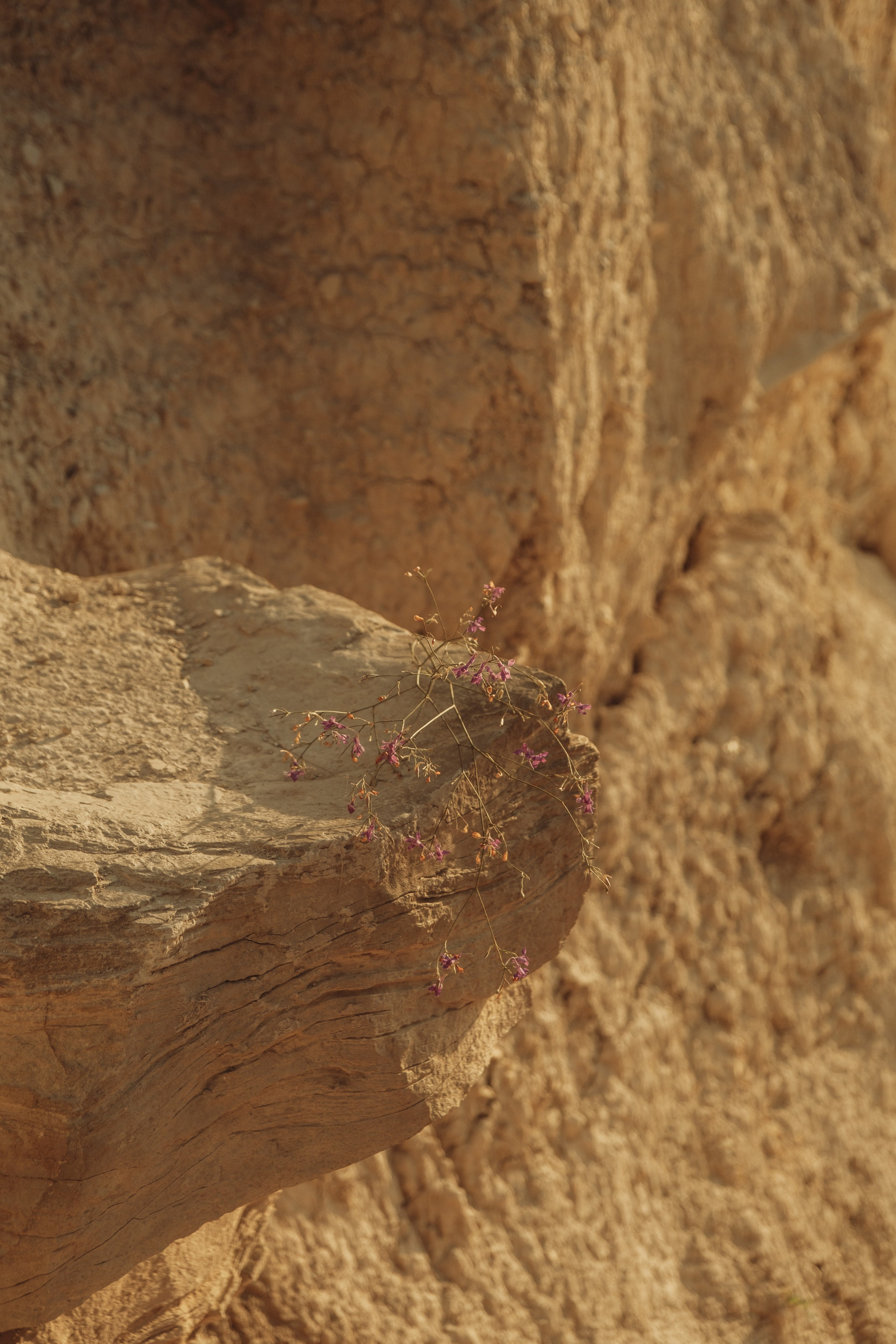 Летай как бабочка. Фотограф и Видеограф Анапа, Новороссийск, Краснодар. Алина и Женя