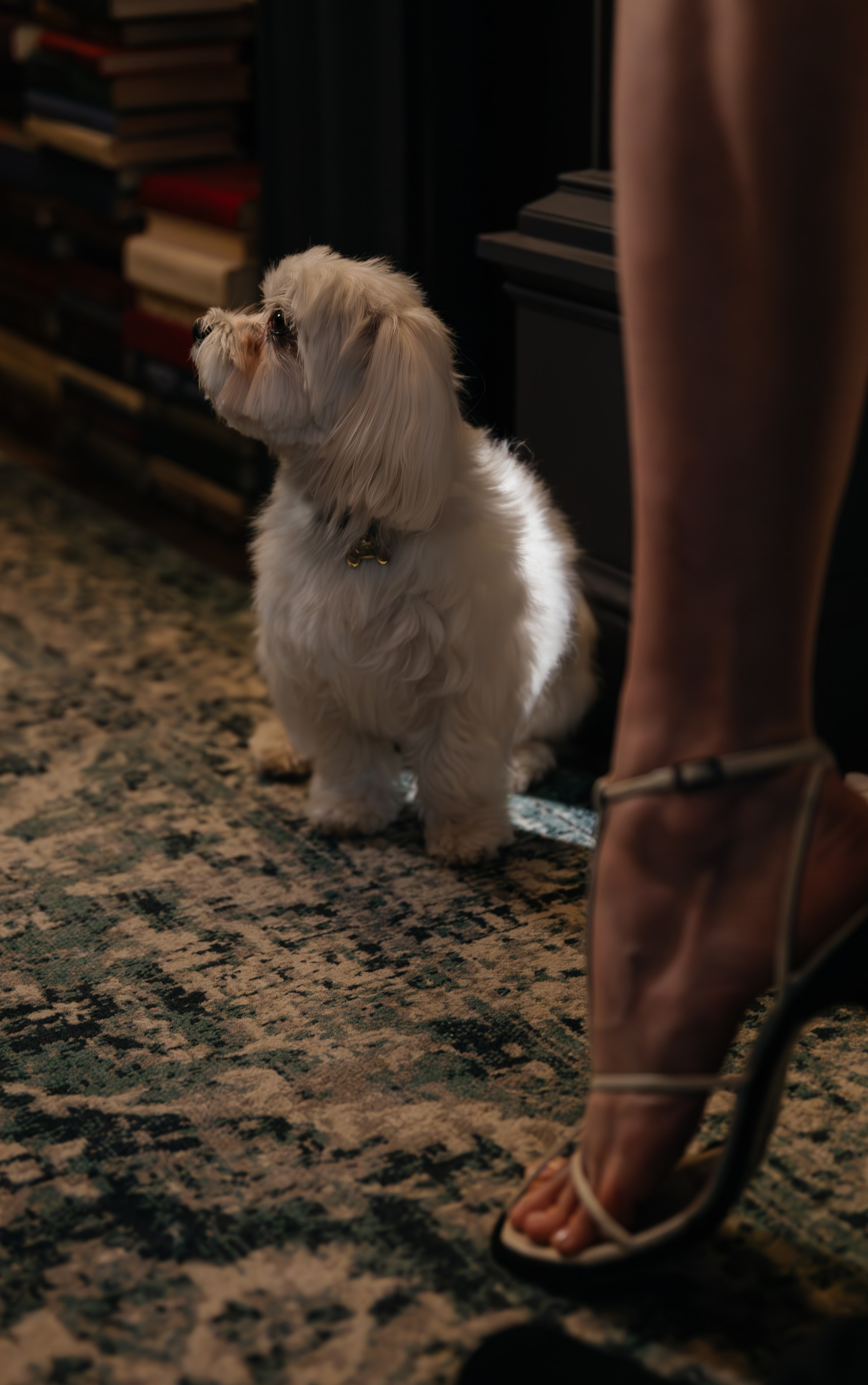 Клим & Полина. Свадебный фотограф Оксана Проценко