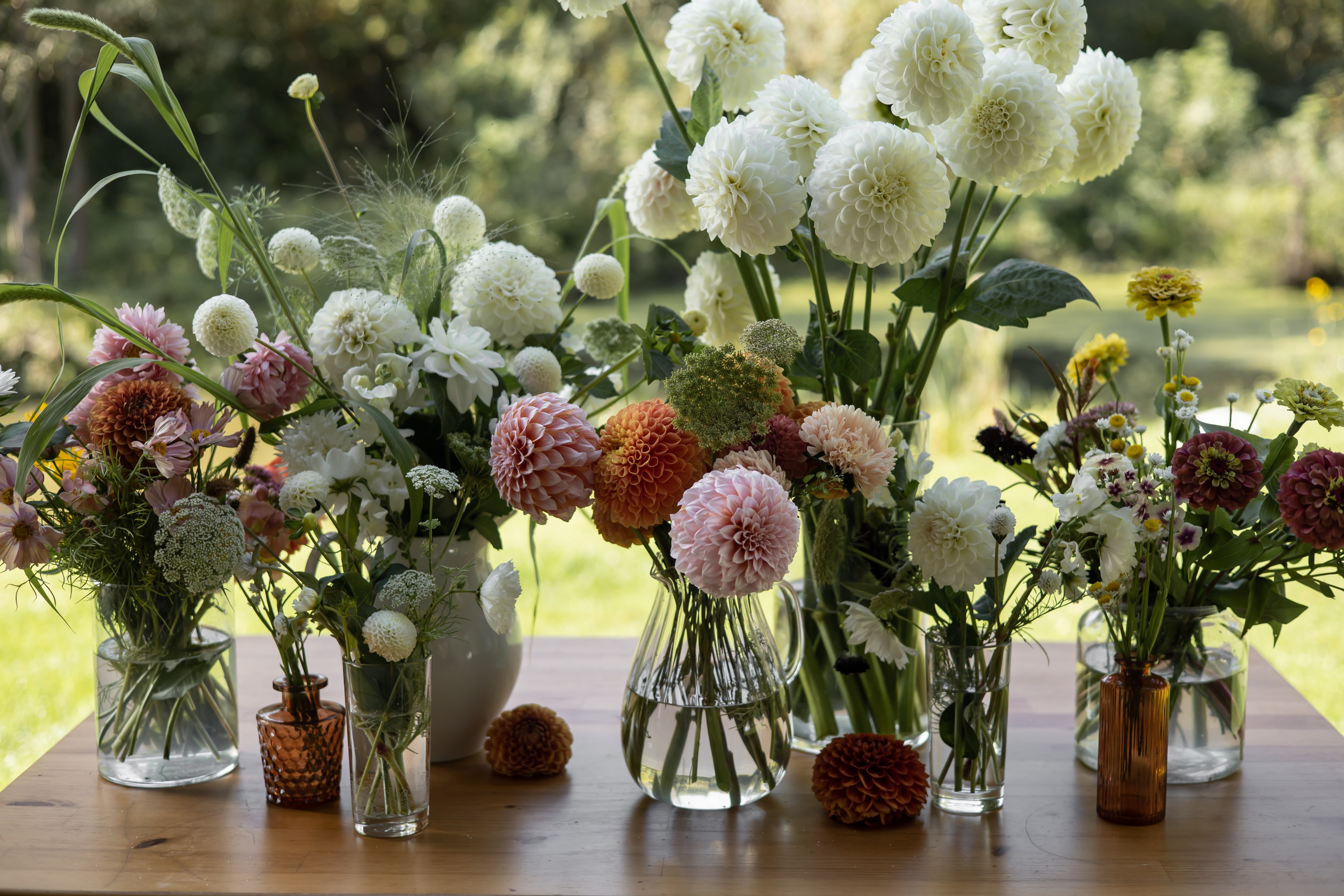 ДИНИЯ. Фотограф Элла Ефимова