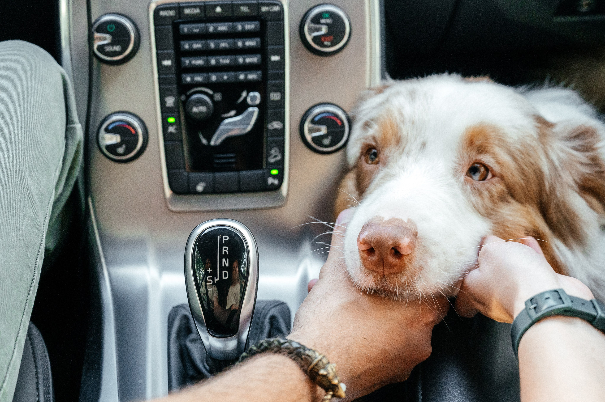 Фотосессия Красная Поляна. Свадебный и семейный фотограф в Краснодаре Марина Стёпа