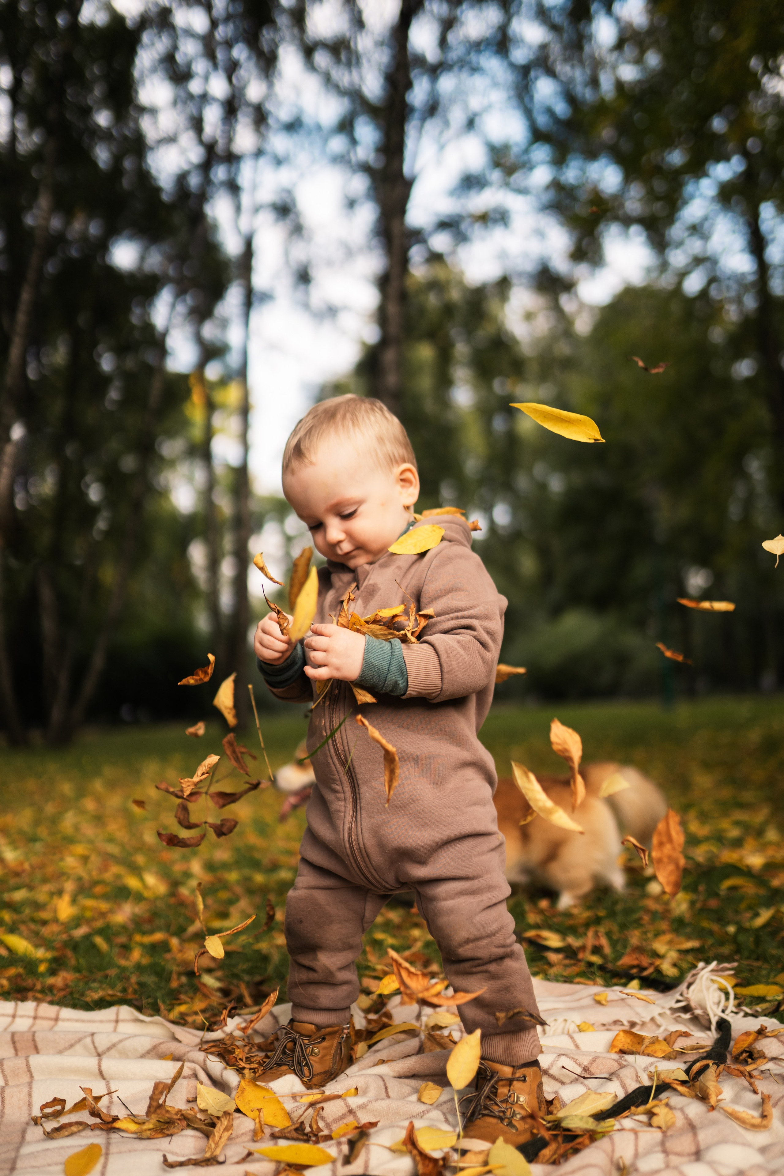 Сентябрь. Таврический парк. Семейный и детский фотограф в Санкт-Петербурге Дарина Герчиу