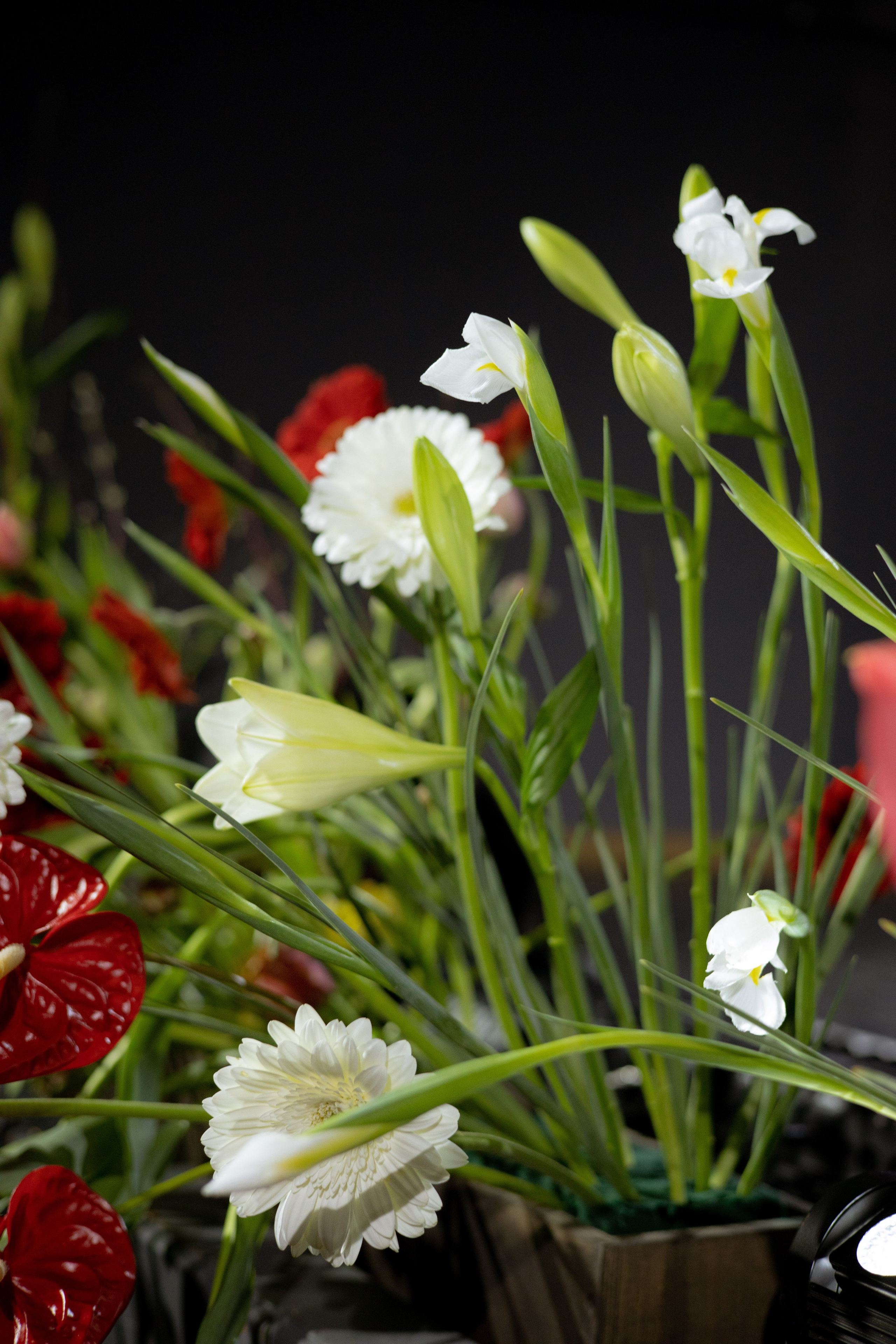 Оформление Отчетного концерта Музыкальной школы Глазунова. Оформление свадеб, декор свадеб Вера Маркова, Москва