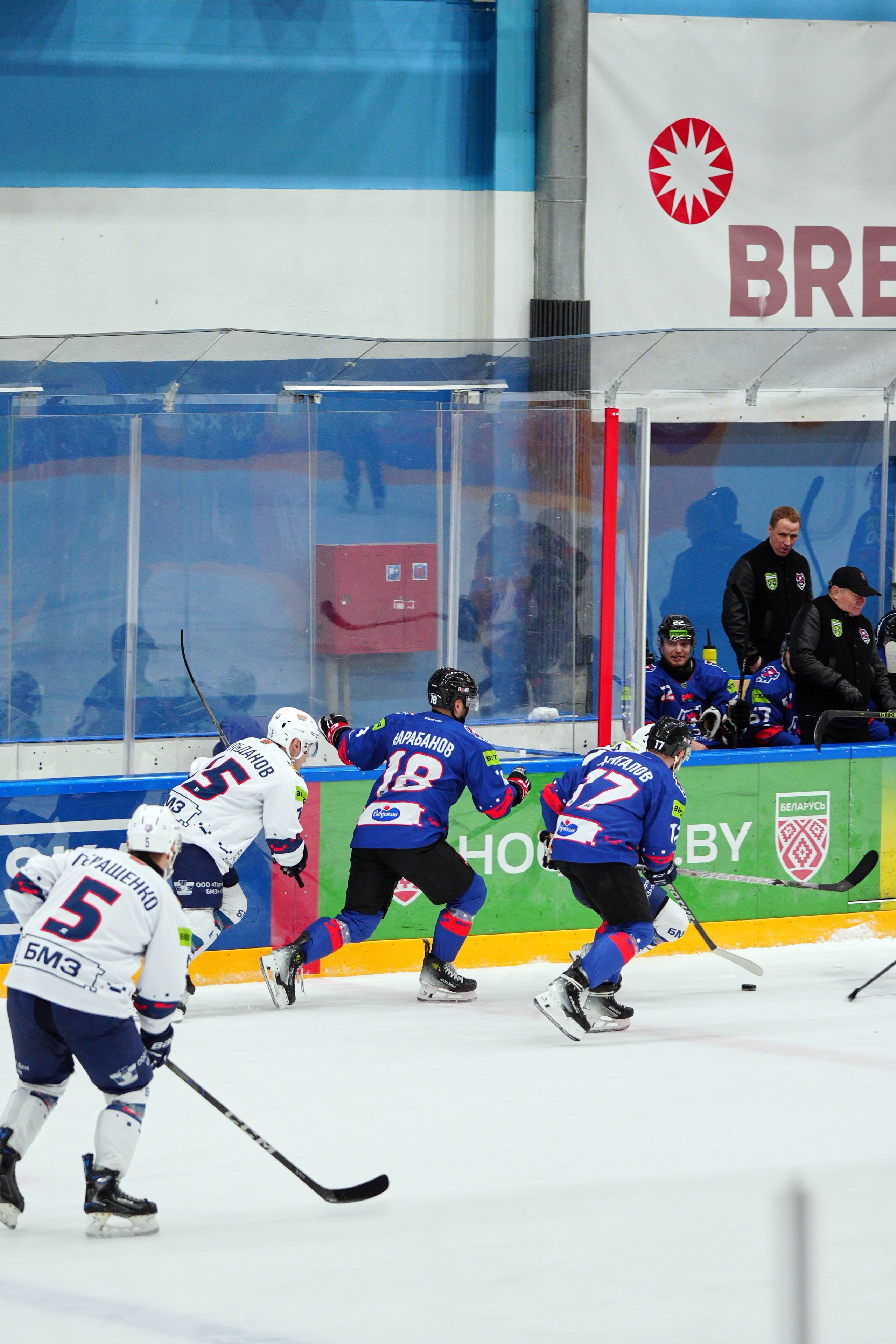 Хоккей: Брест — Металлург. EVG PROHOROV