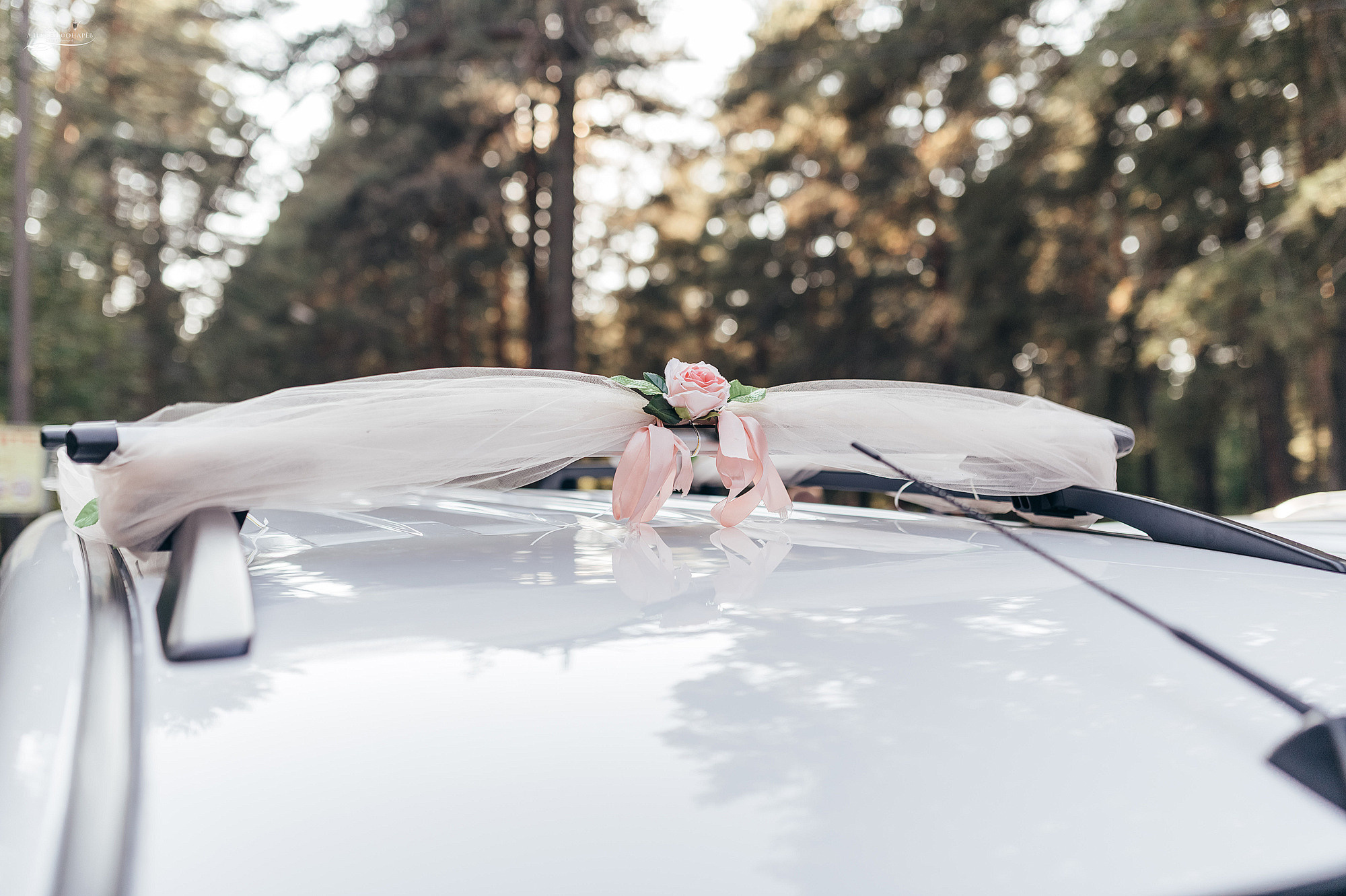 Свадебный фотограф в Дубне. Свадебный фотограф в Дубне Алексей Фонарёв