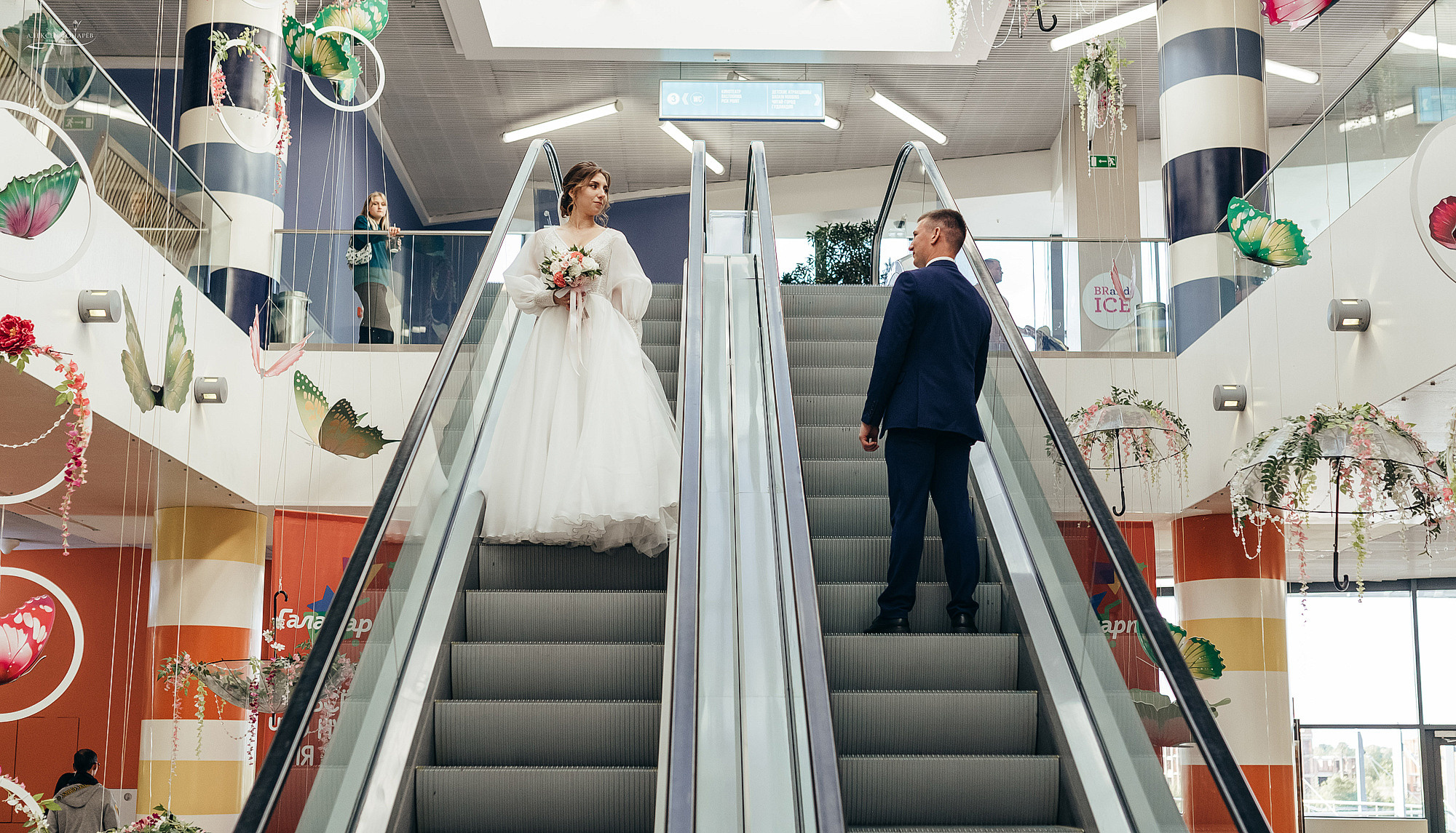 Свадебный фотограф в Дубне. Свадебный фотограф в Дубне Алексей Фонарёв