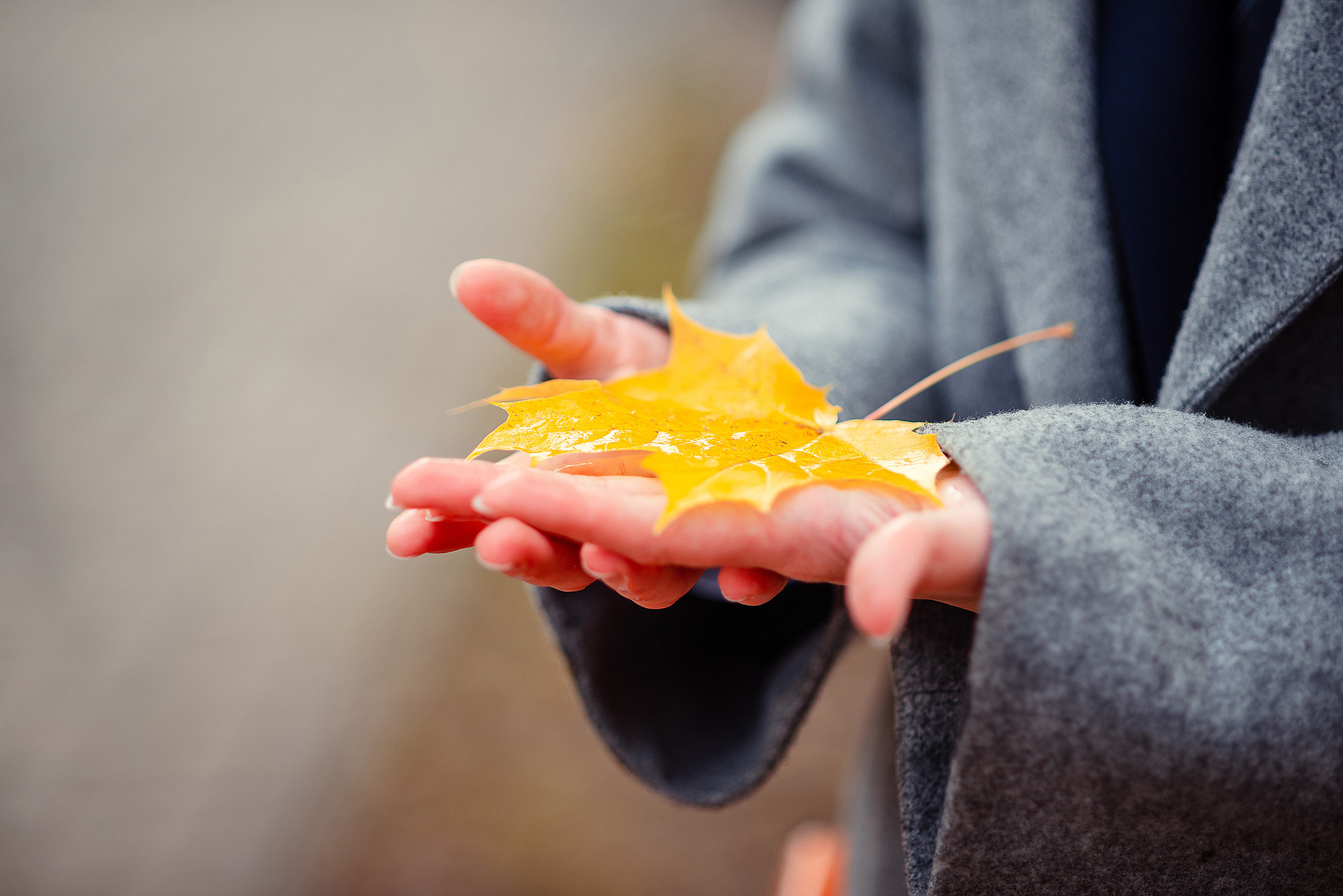 Школьный фотограф в Дубне Талдоме Кимрах. Свадебный фотограф в Дубне Алексей Фонарёв